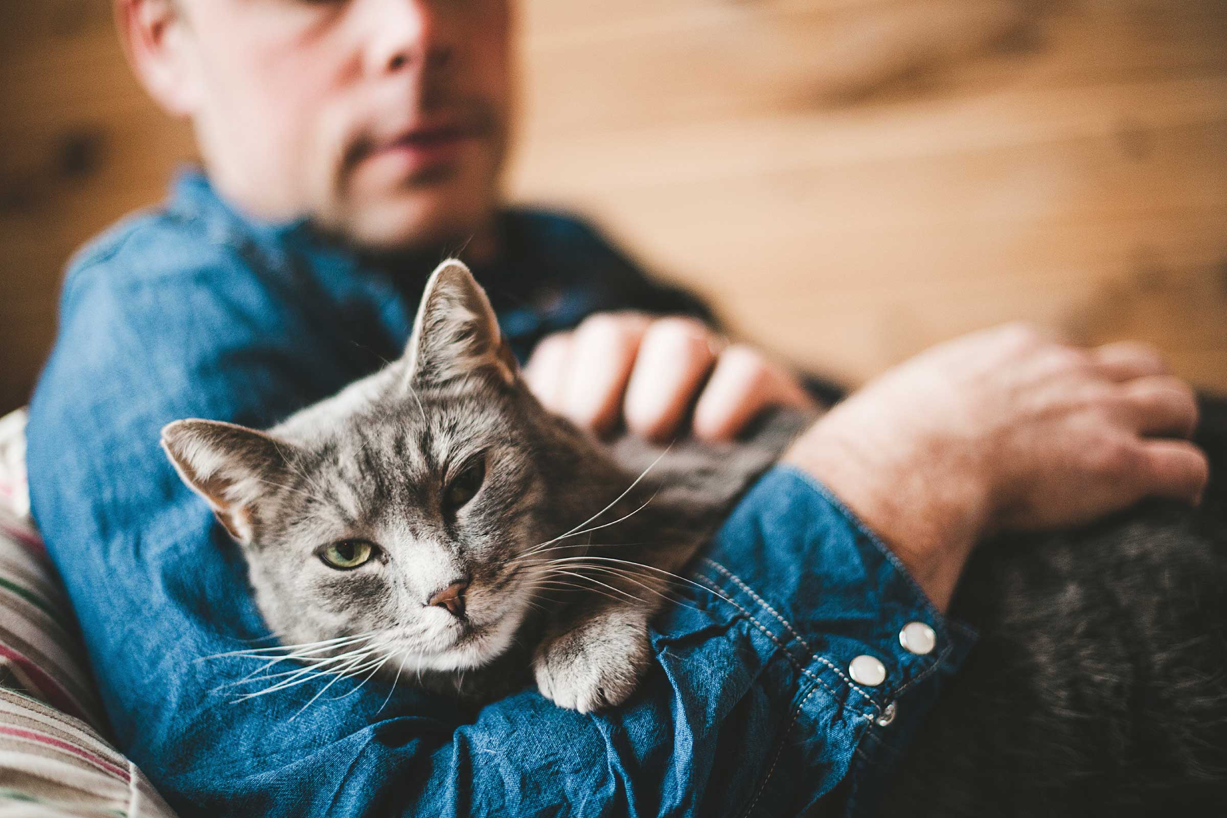 Cat Behavior: Things Your Cat Wants to Tell You | Reader's Digest