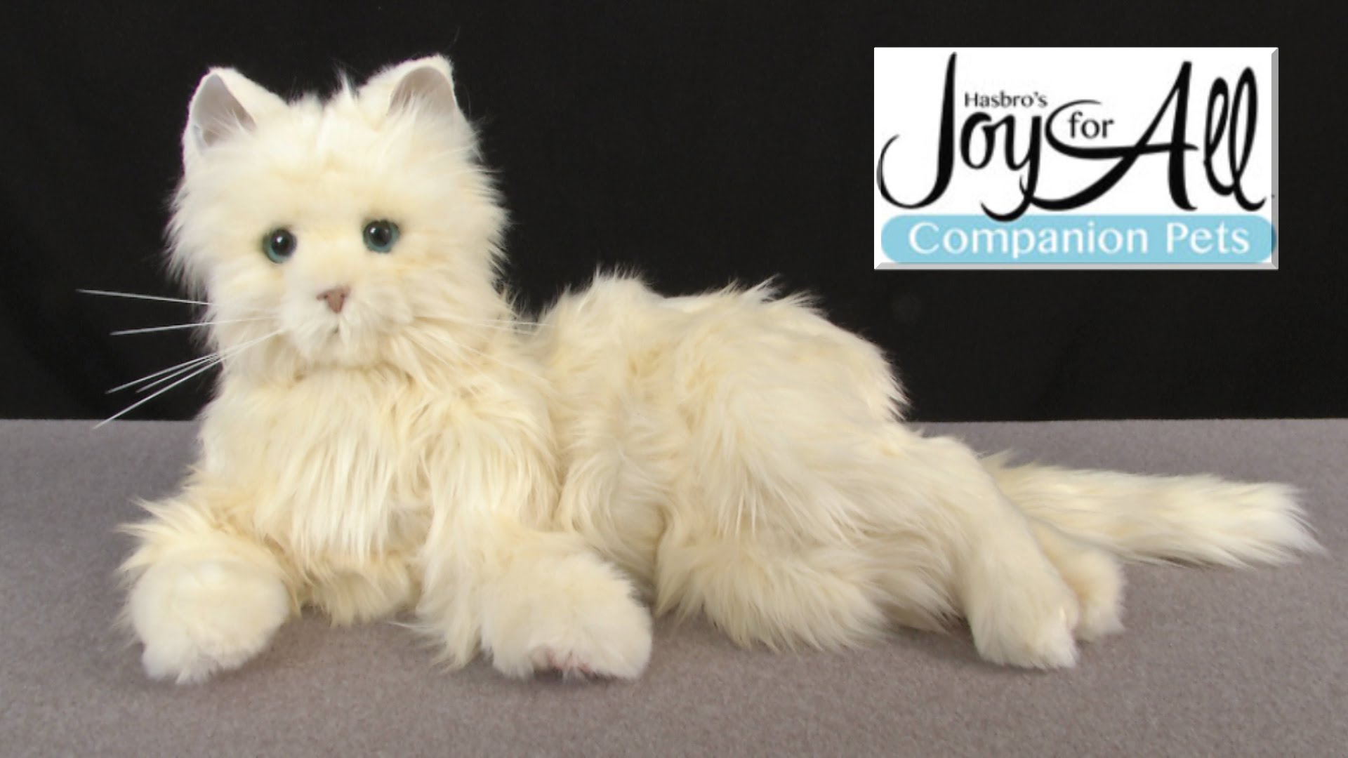Joy for All Companion Pet Cat from Hasbro - YouTube