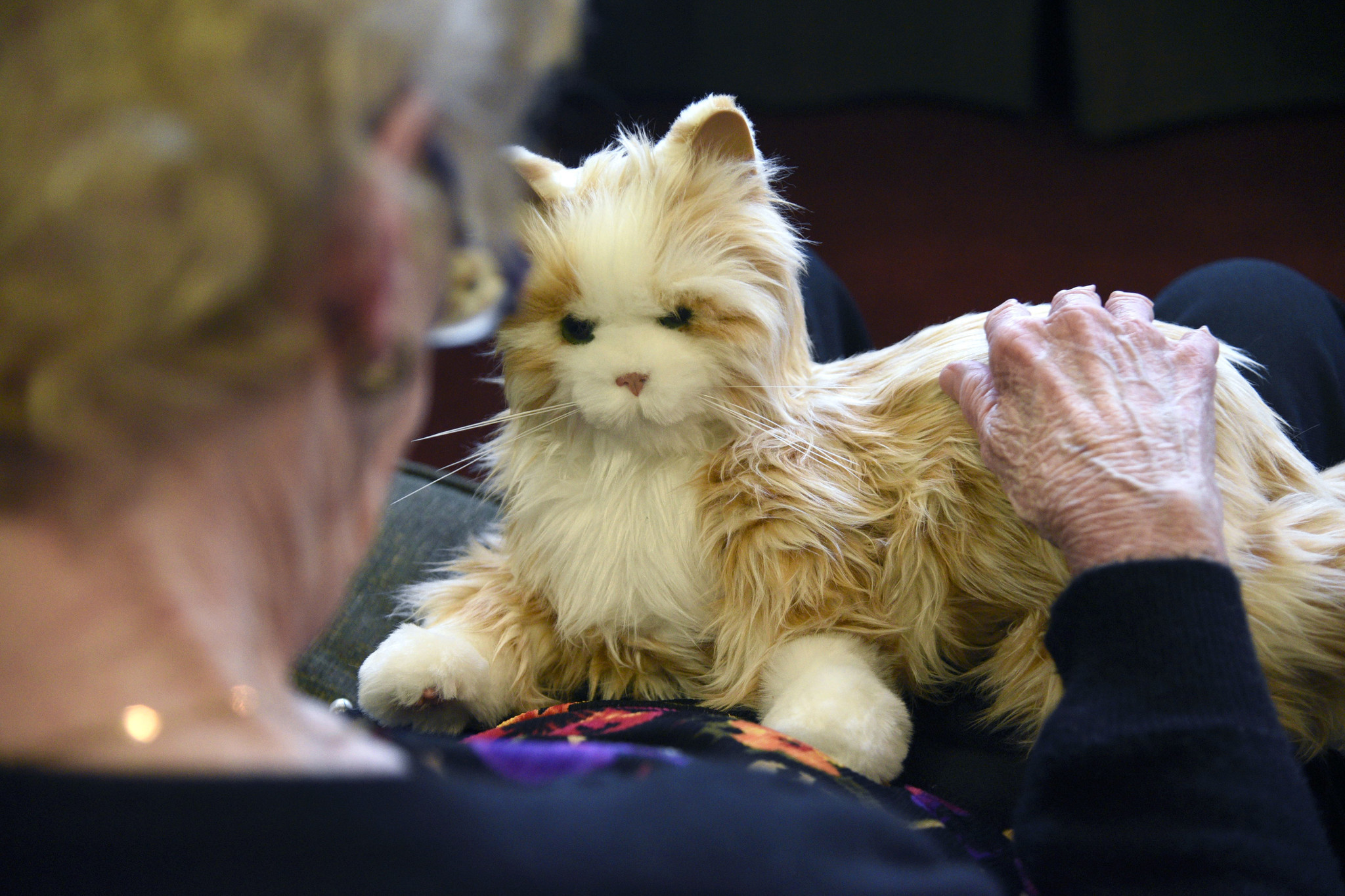 Animatronic pets at retirement homes a sign of how robots will ...
