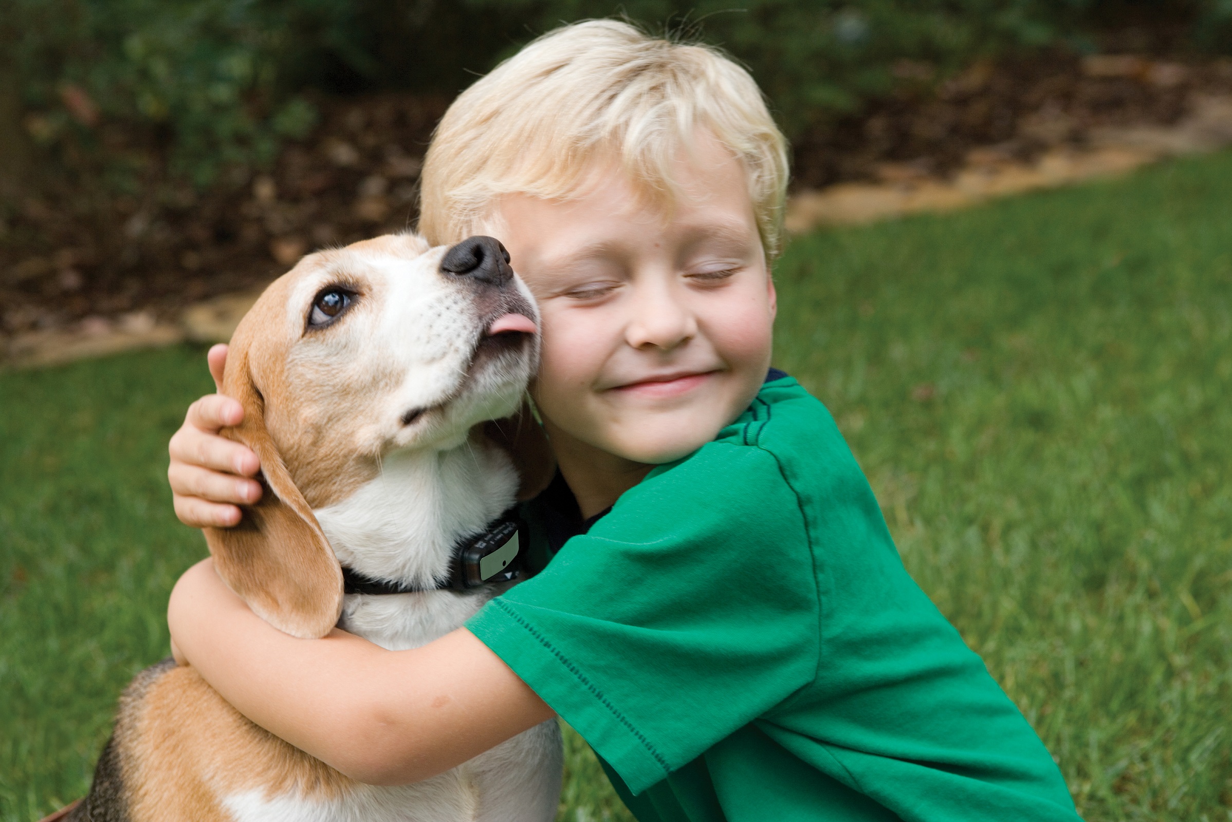Can Dogs Ease Anxiety in Children? - Advantage Pet Center