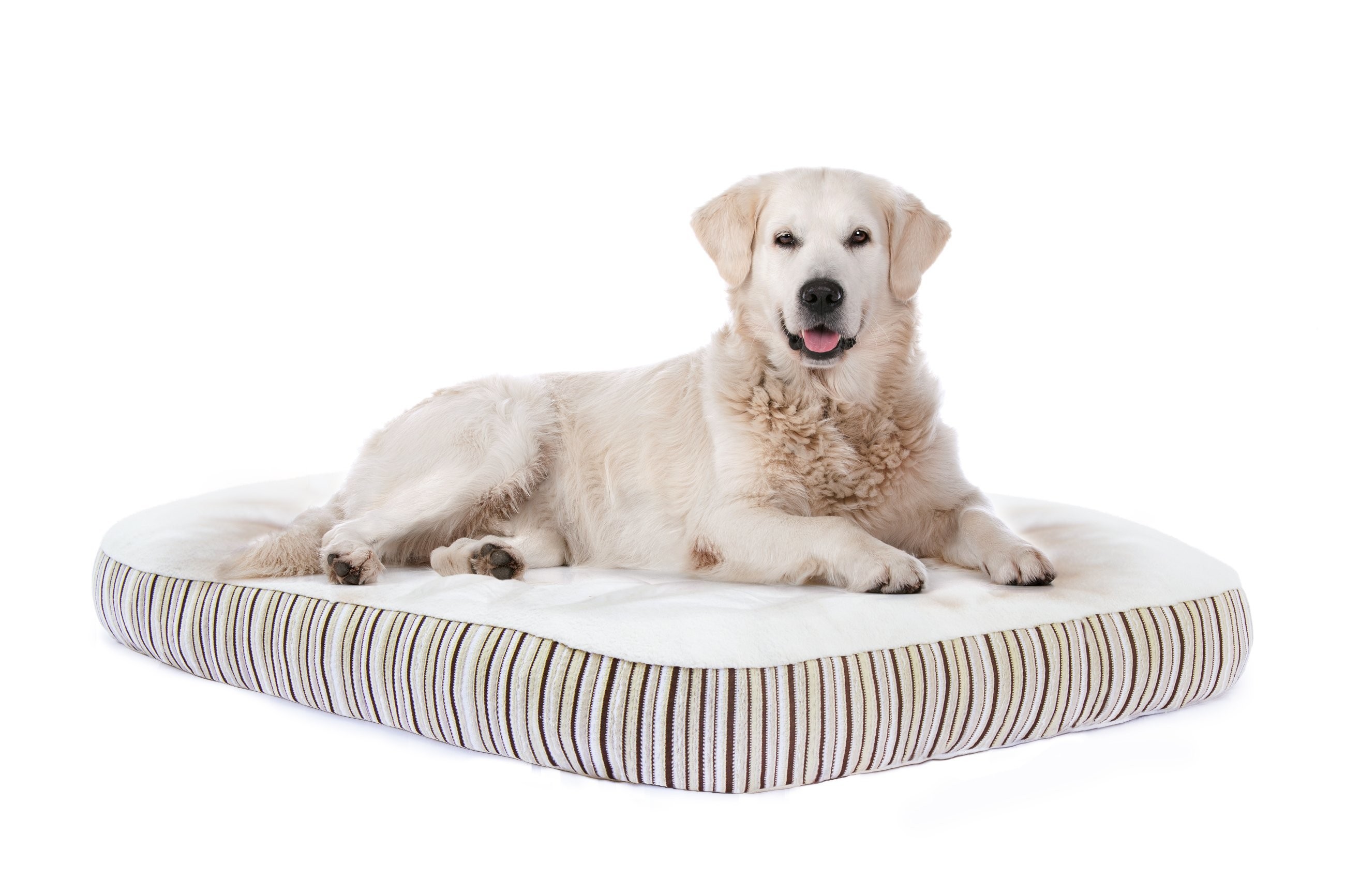 Memory Foam Dog Bed | Organic Luxury for Pets | Essentia