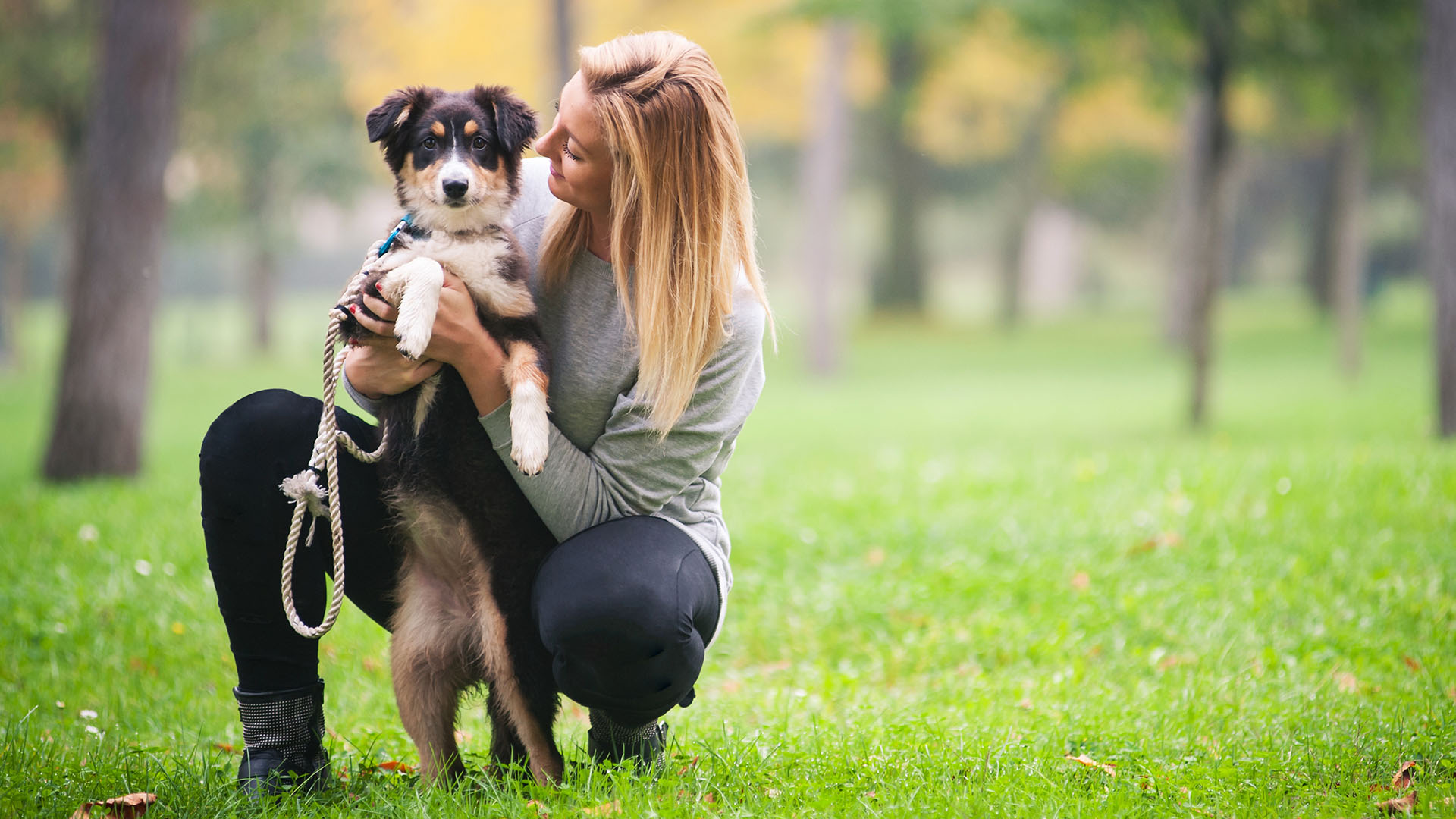 5 easy ways to exercise with your pet