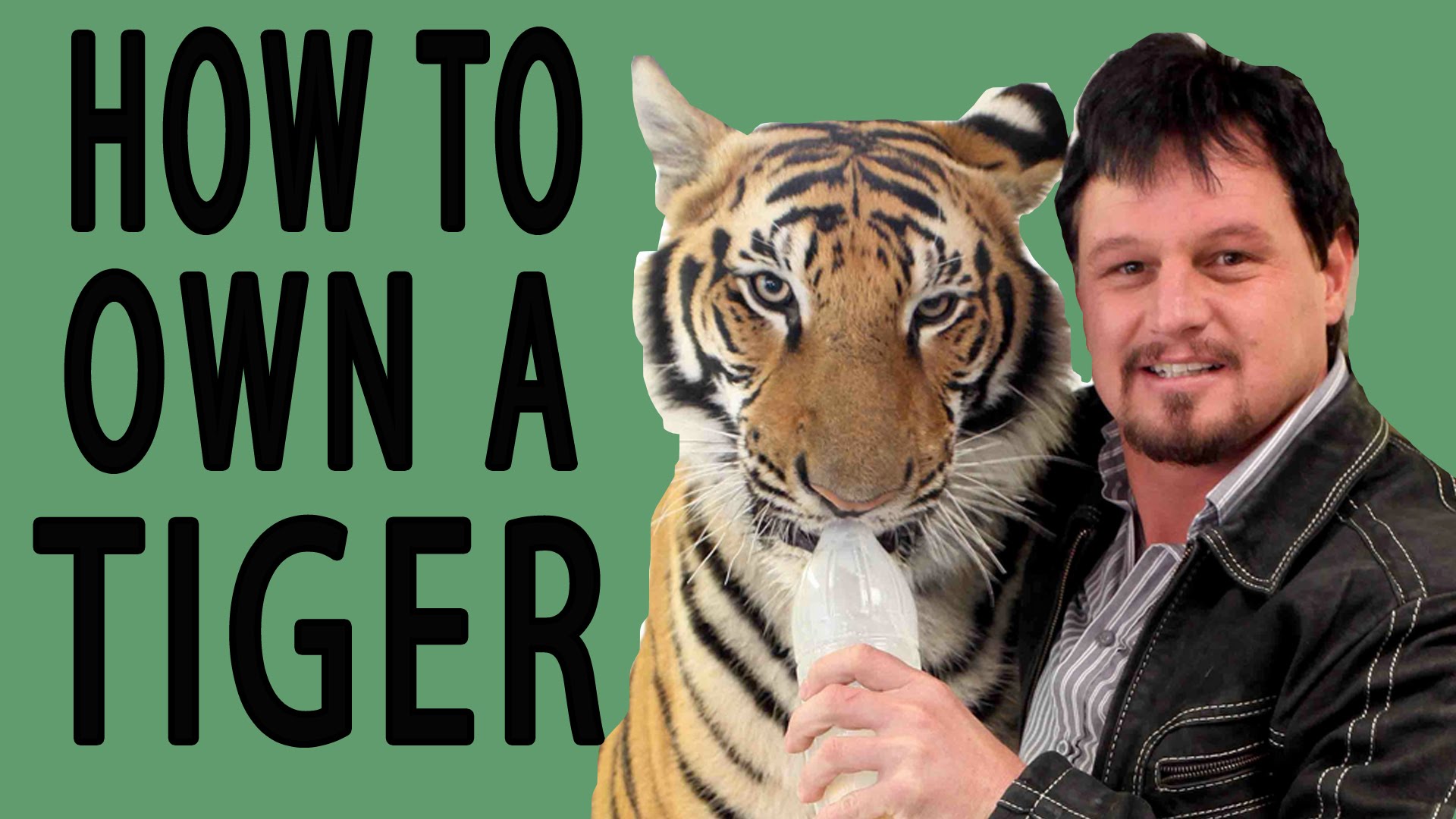 How to Own a Tiger - EPIC HOW TO - YouTube