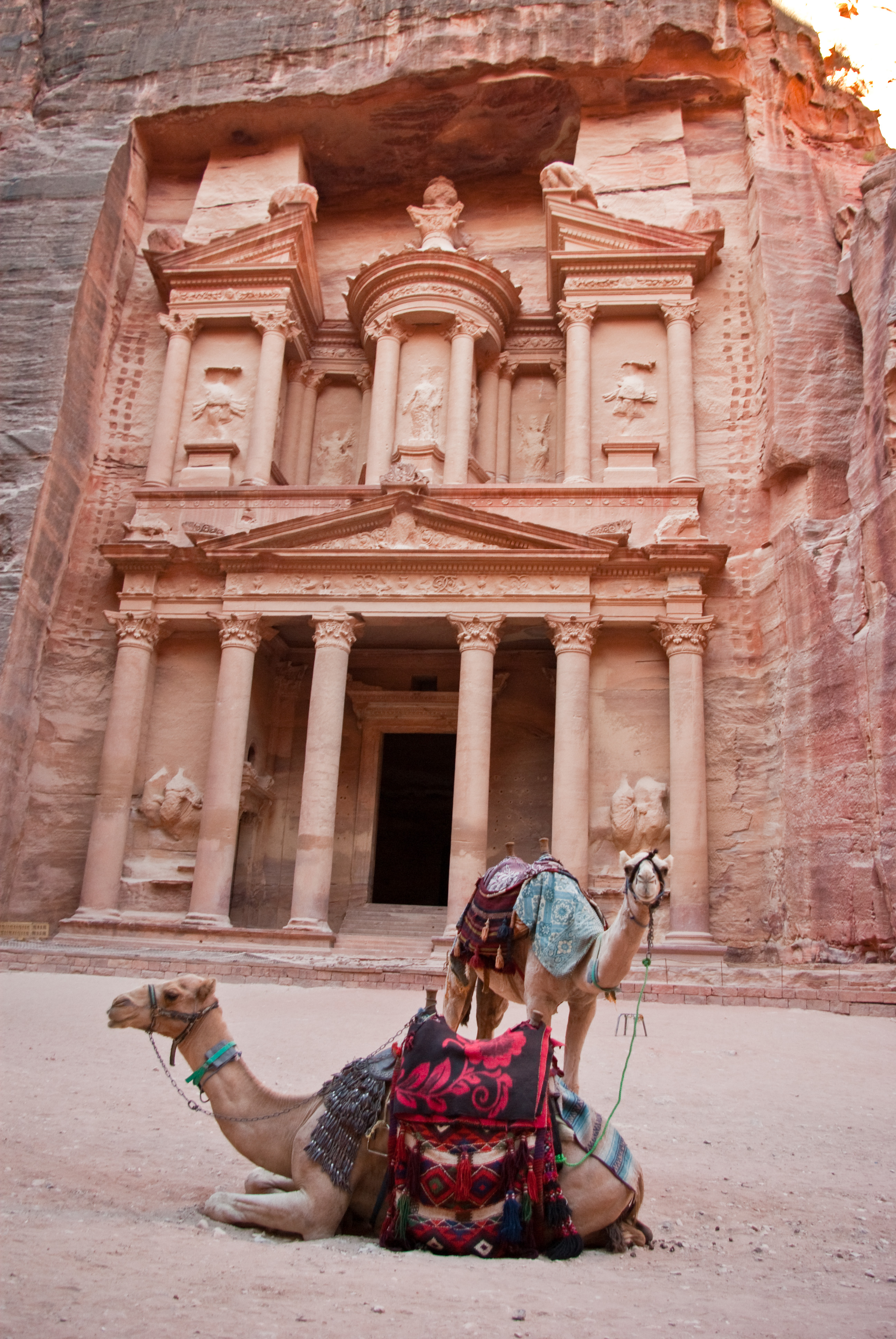 Petra camel photo
