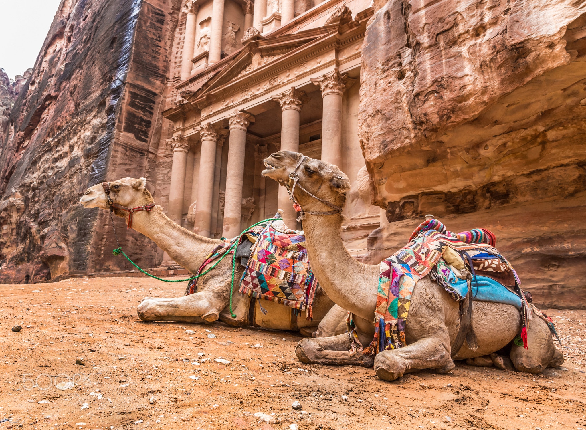 Bedouin camel rests near the treasury Al Khazneh - Two bedouin ...