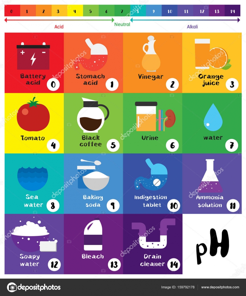 The pH scale Universal Indicator pH Color Chart diagram — Stock ...