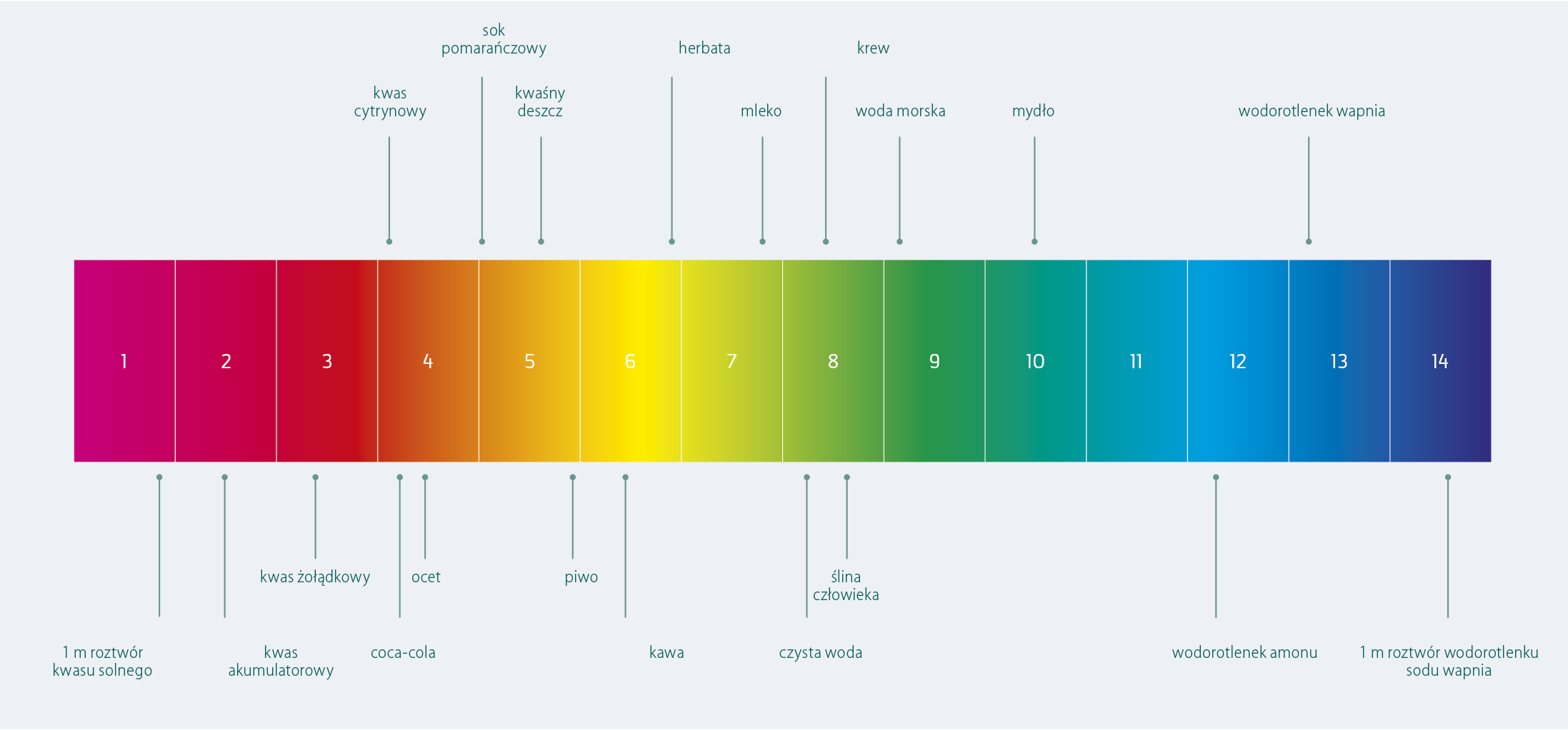 What is the pH scale? | rokopro.pl