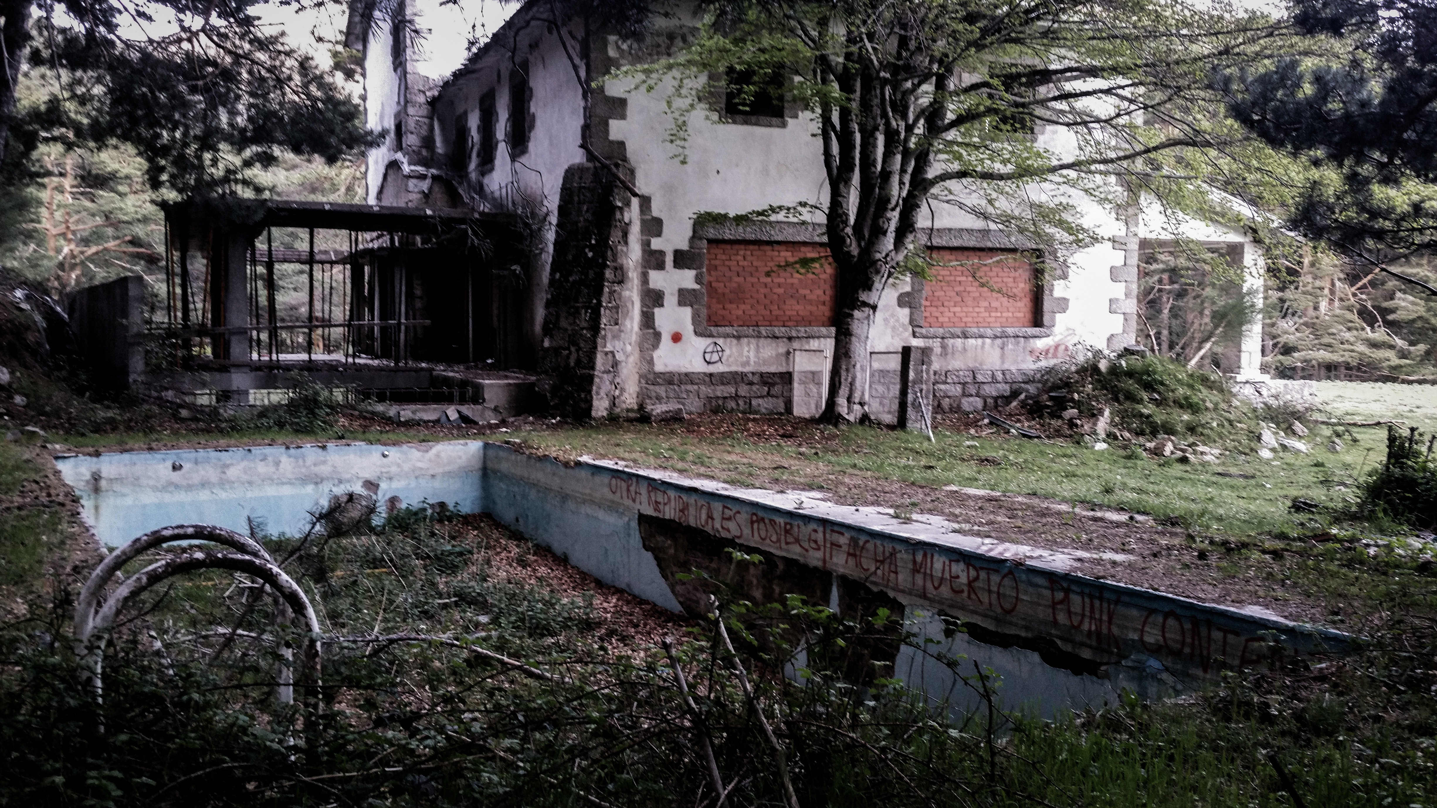 Photo of a Dilapidated Swimming Pool, Abandoned, Landscape, Wall, Twigs, HQ Photo