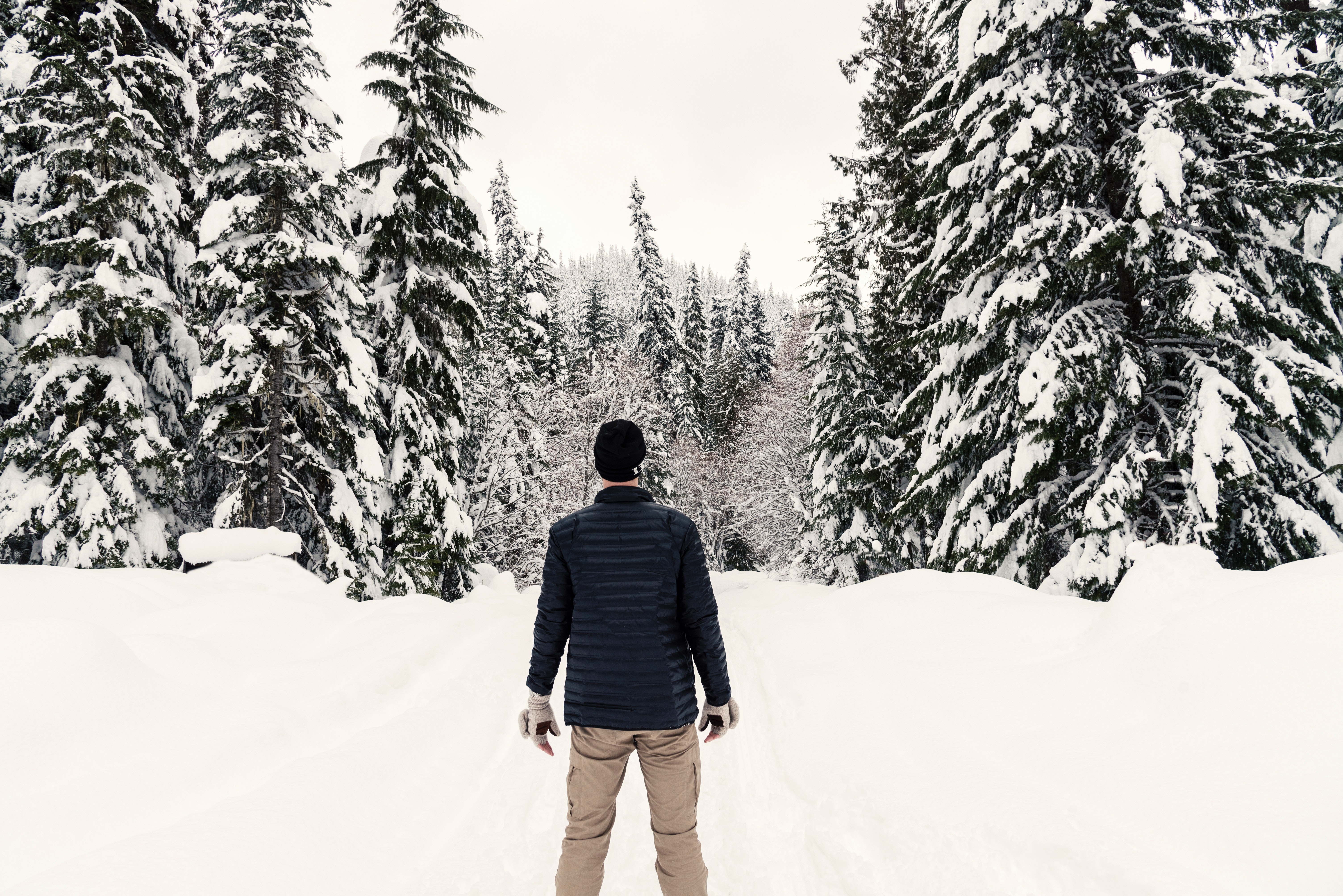 26 февраля мужчина. Снежный человек в лесу. Мужчина в Снежном лесу. Мужик в лесу зимой. Ель и человек.