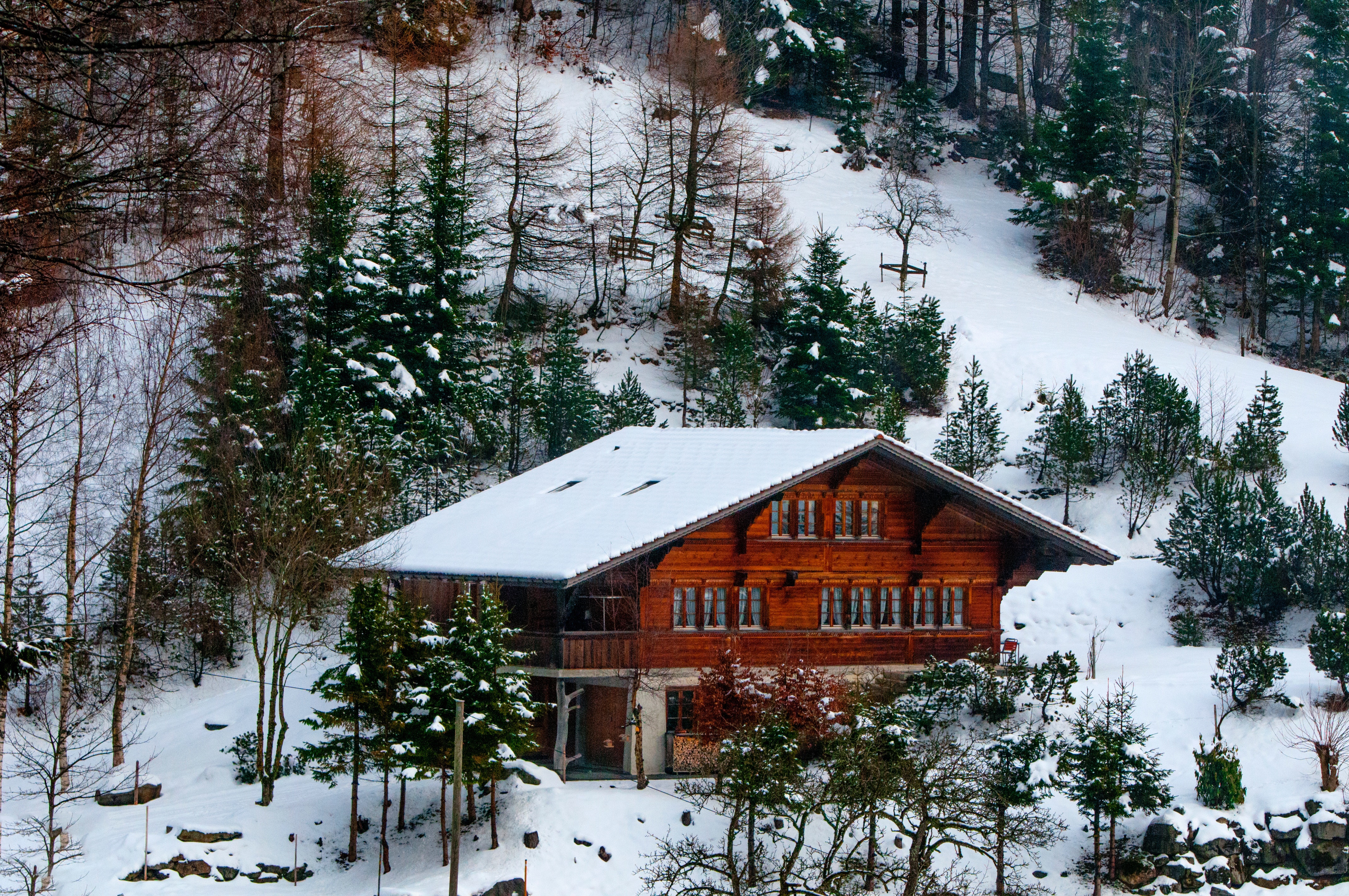 Photo of Chalet in the Forest, Chalet, Outdoors, Winter, Weather, HQ Photo