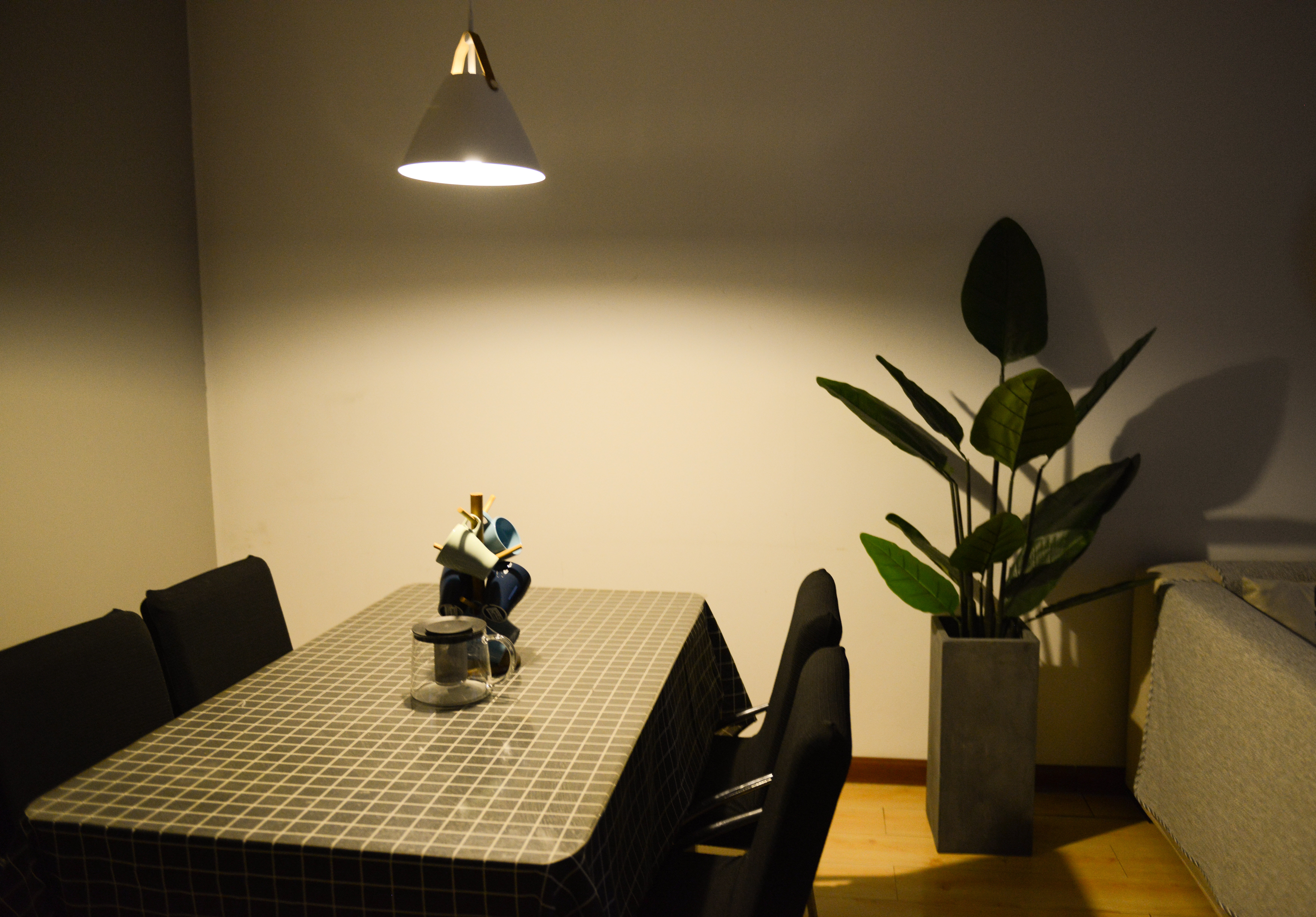 Photo of dining table near the plant