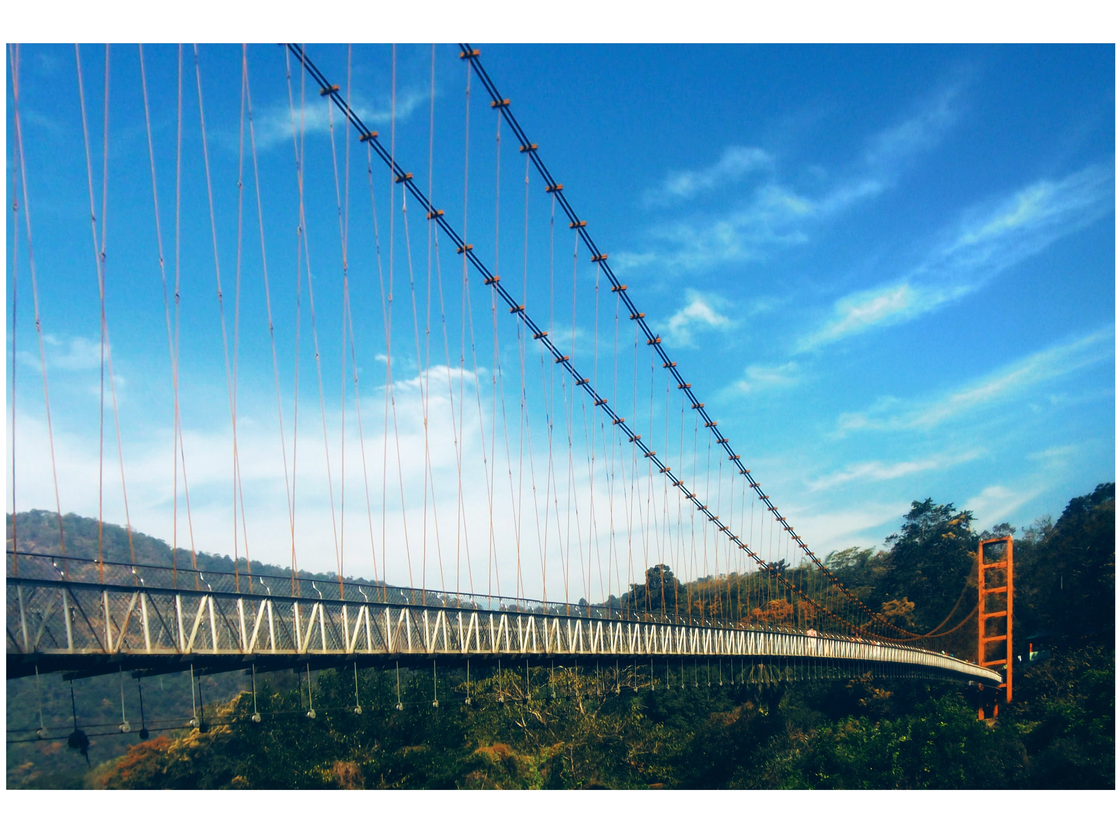 Photo of Golden Gate Bridge, Architecture, #mobilechallenge, Trees, Travel, HQ Photo