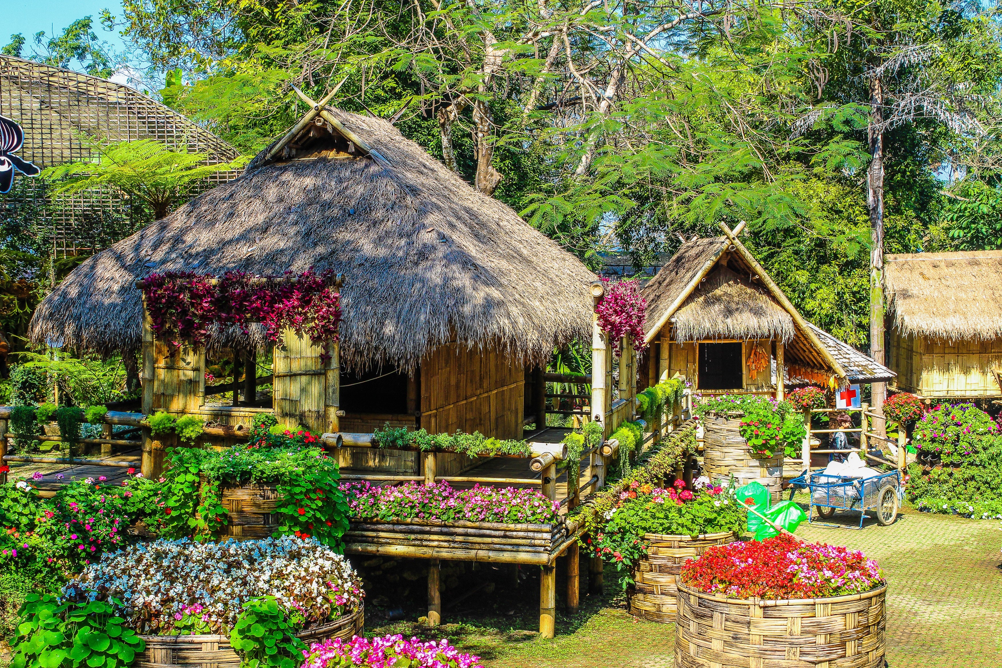 Photo of huts surrounded by flowers
