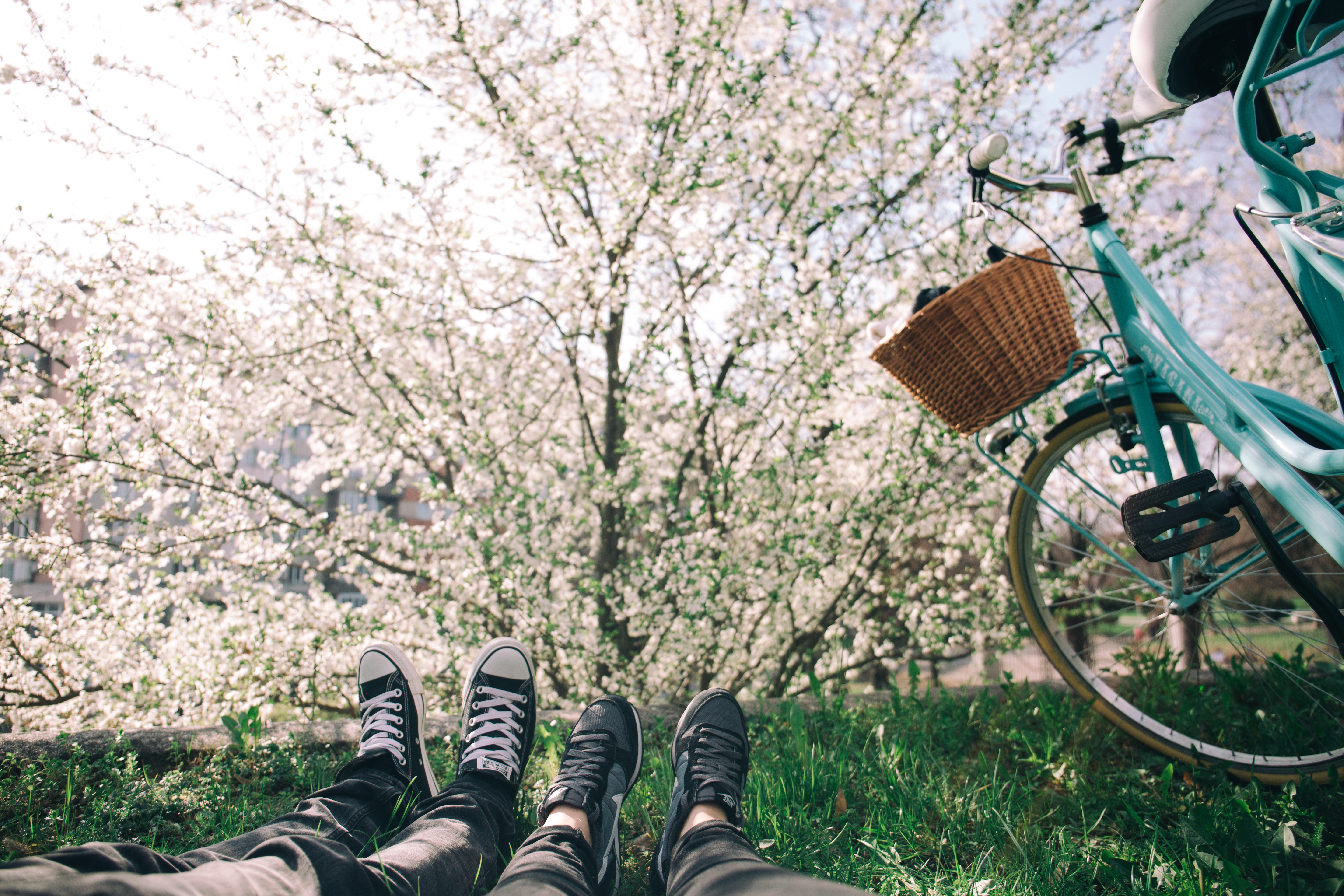 Free Images : nature, grass, people, plant, flower, feet, bicycle ...