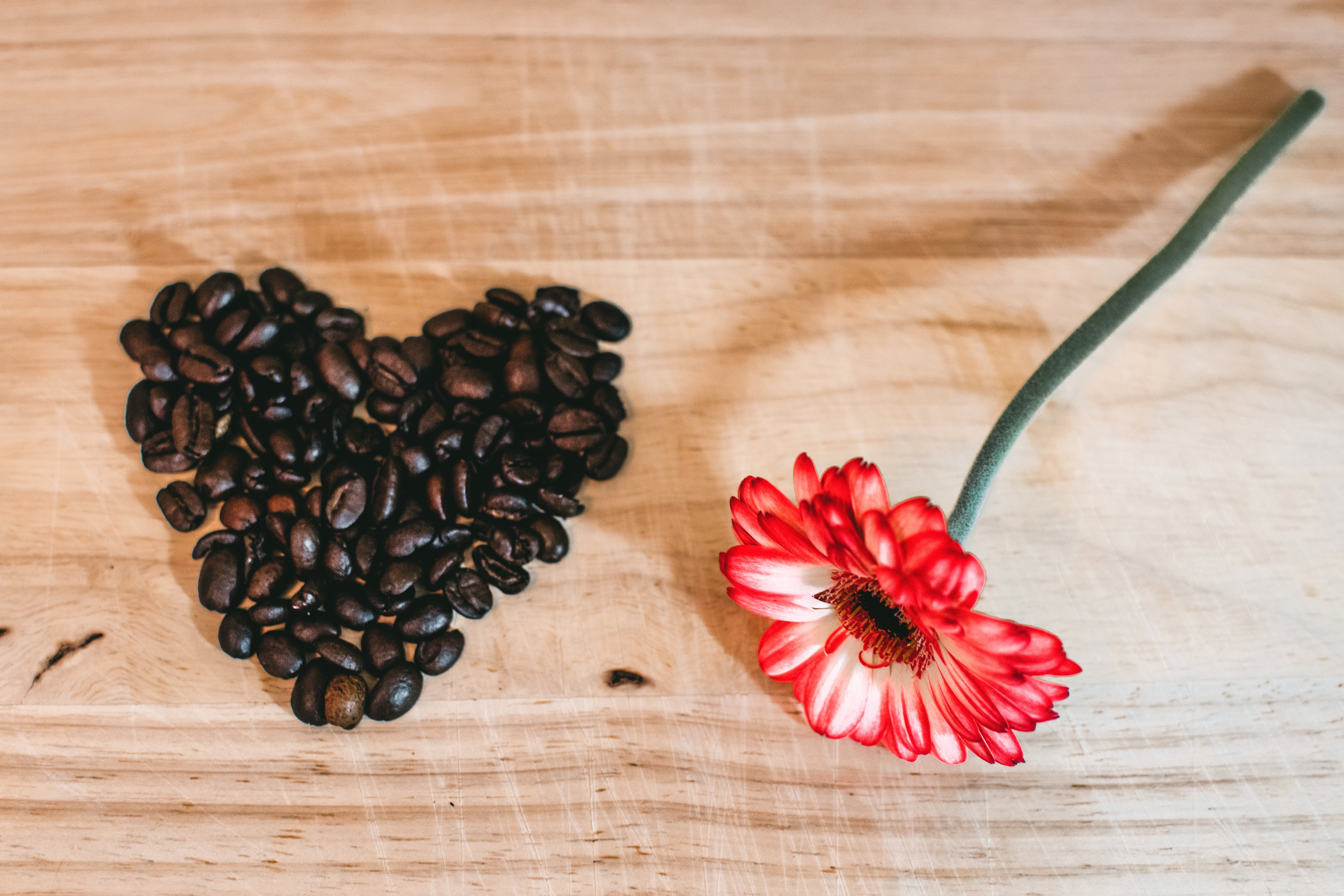 Photo of red petaled flower near coffee beans