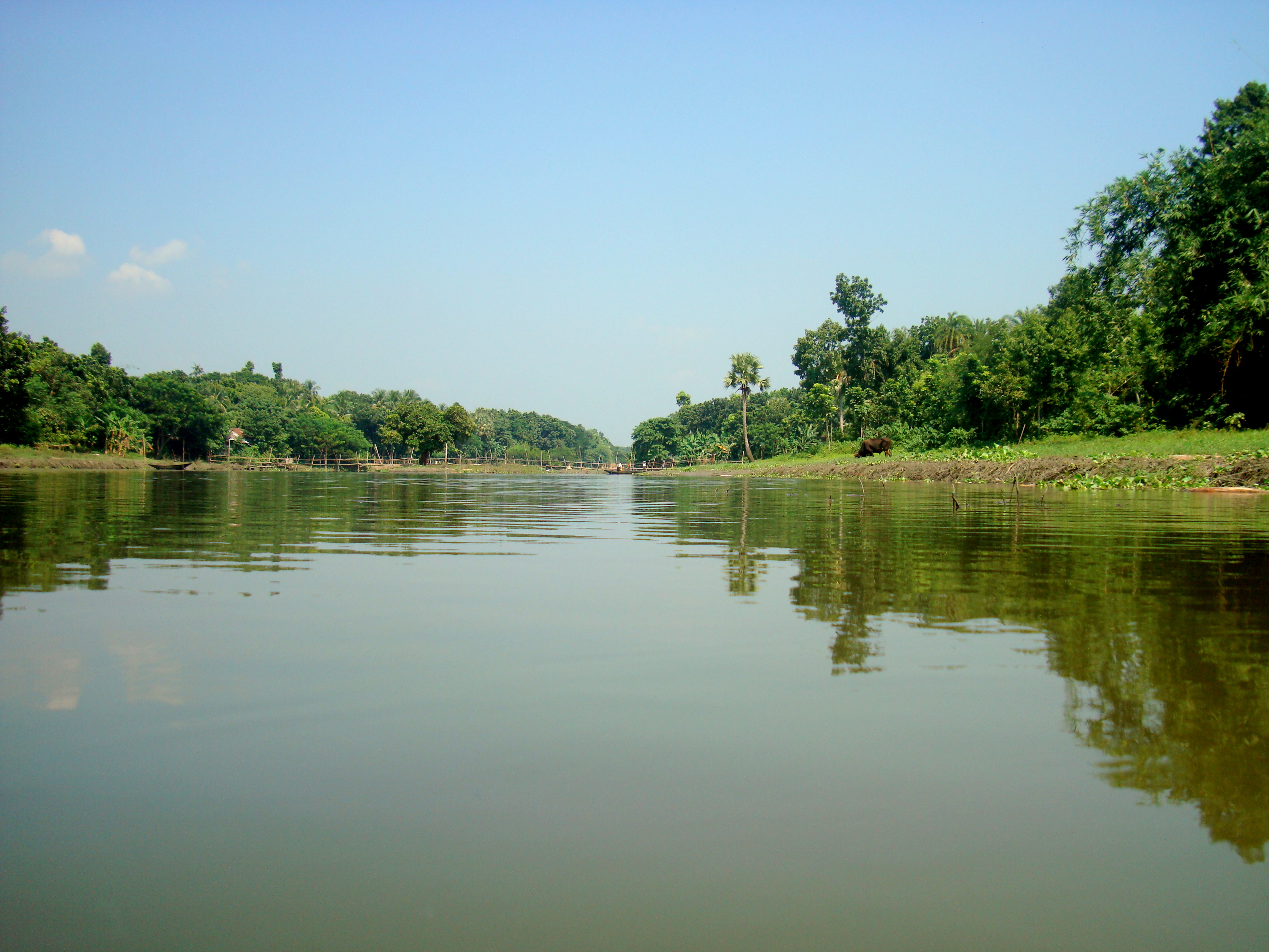Chitra River - Wikipedia