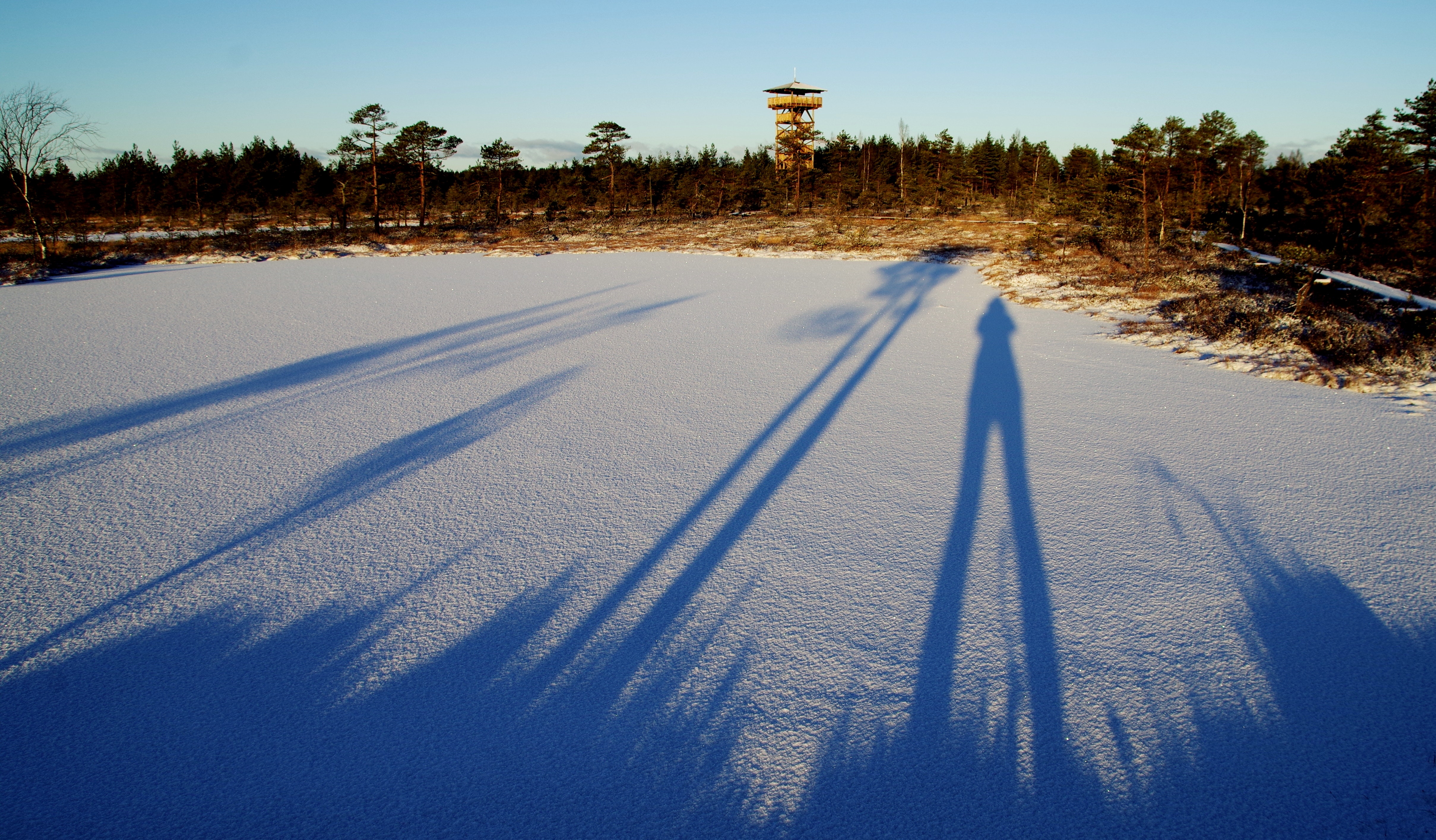 Photo of shadow of a person on the snowfield