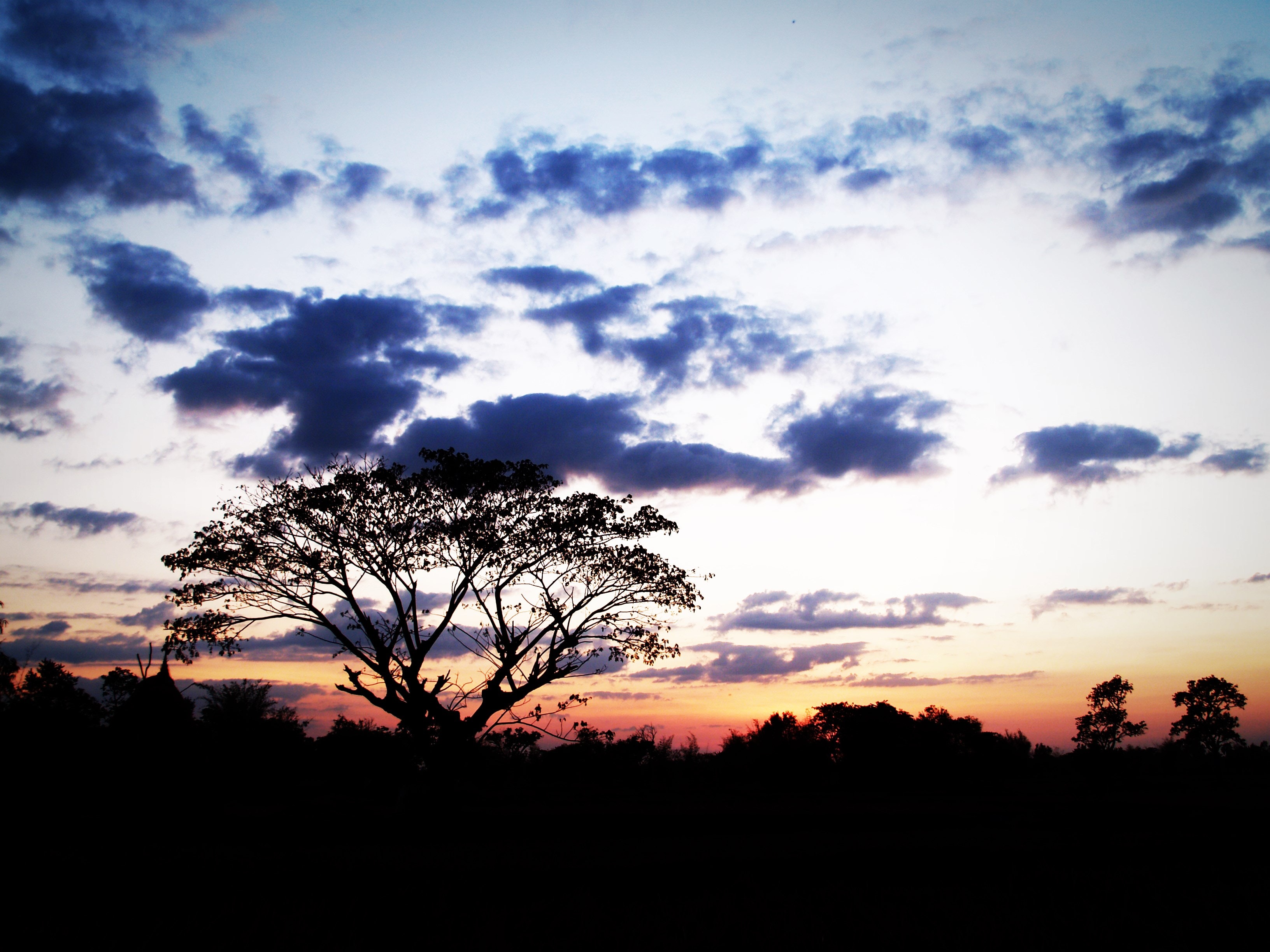 Photo of Sunset, Beautiful, Landscape, Trees, Travel, HQ Photo