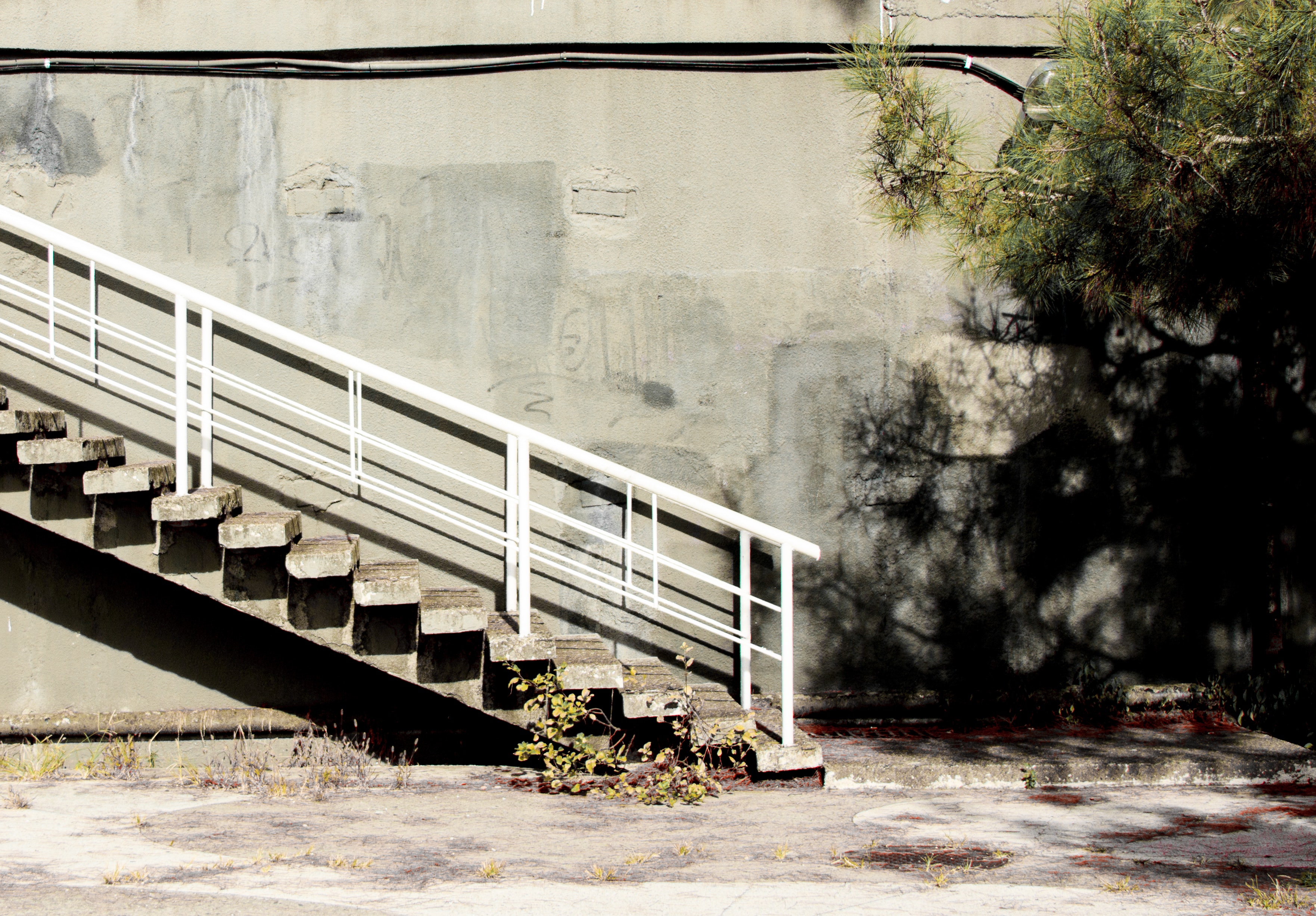 Photo of the Staircase near the Tree, City, Concrete, Grass, Guidance, HQ Photo