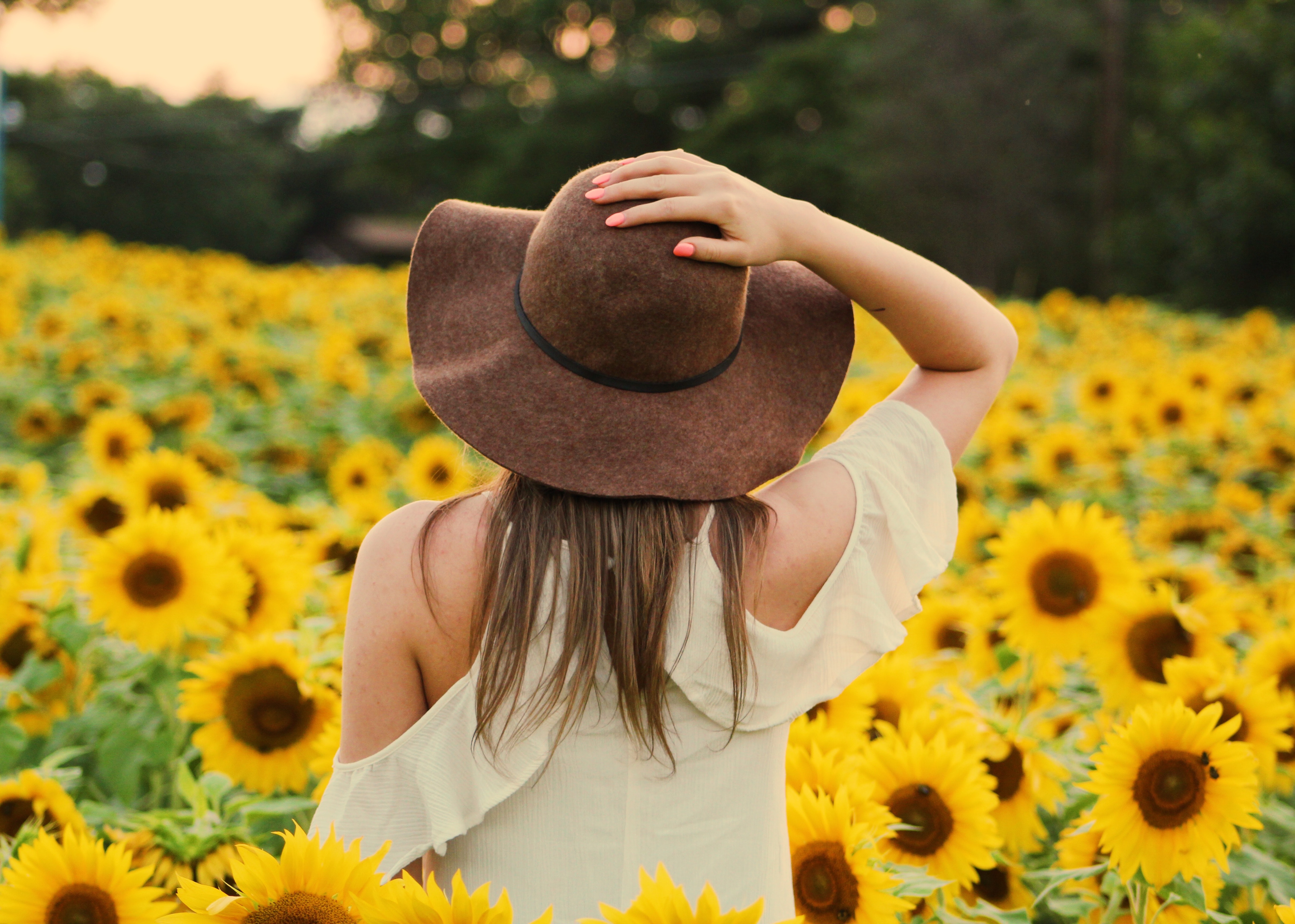 Авы на лето. Девушка в шляпе. Девушка в шляпе в поле. Девушка в шляпе с цветами. Девушка в шляпке с цветами.