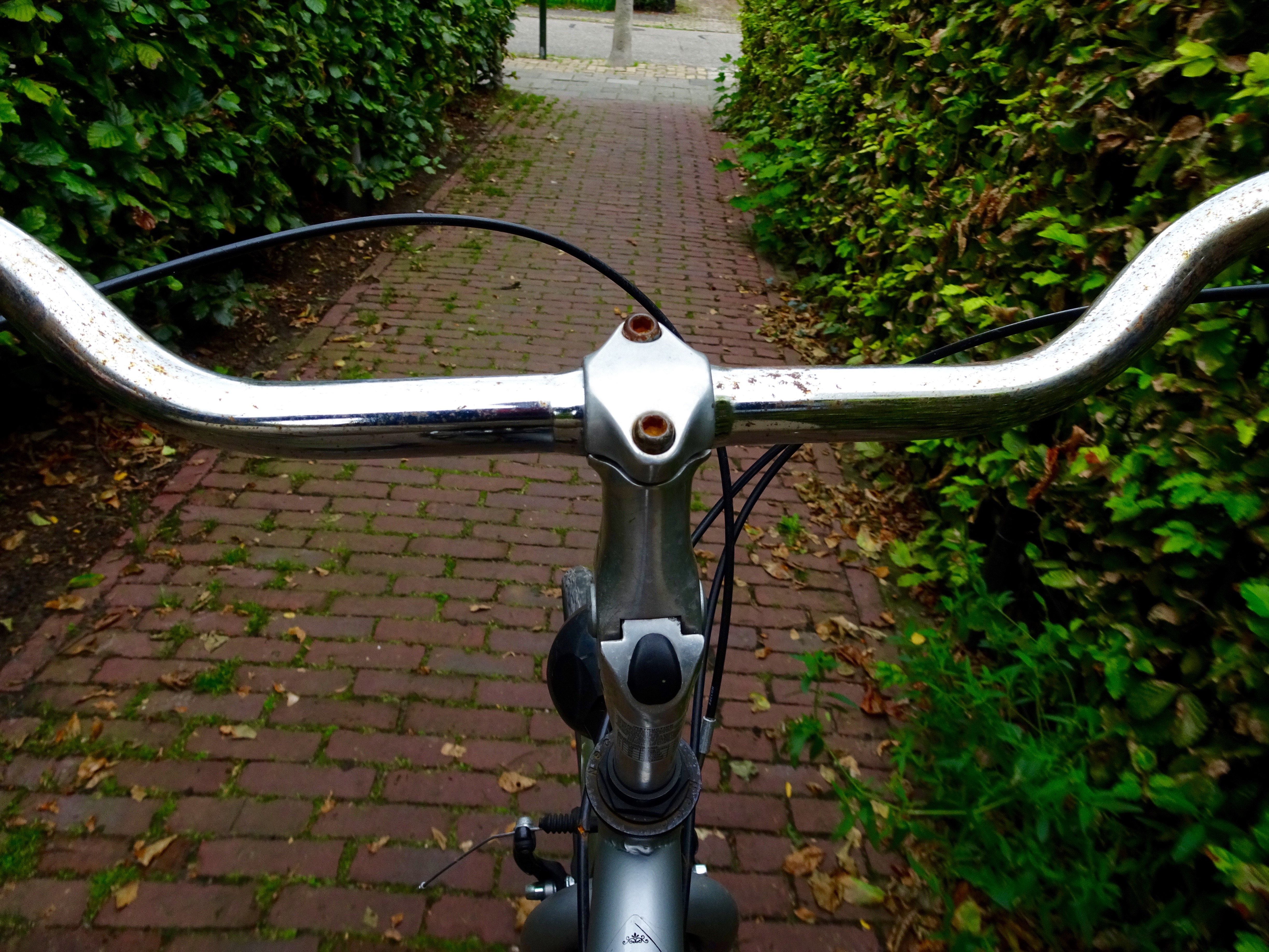Photo whilst cycling, Bike, Biking, CC0, Copyright free, HQ Photo