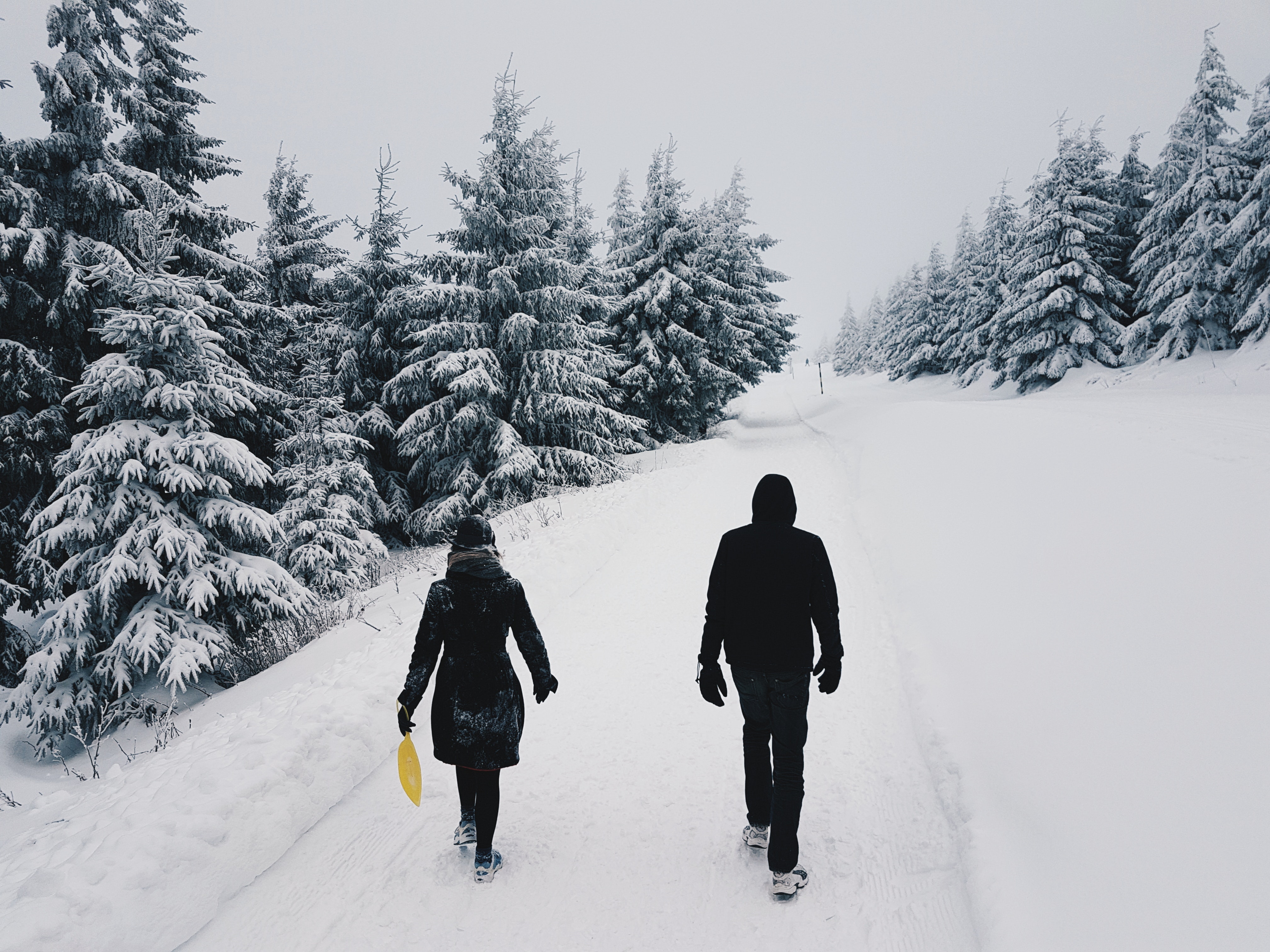 Photograph of Two Persons in the Middle of the Road on a Snowy Setting, Road, Wood, Winter wonderland, Winter clothing, HQ Photo