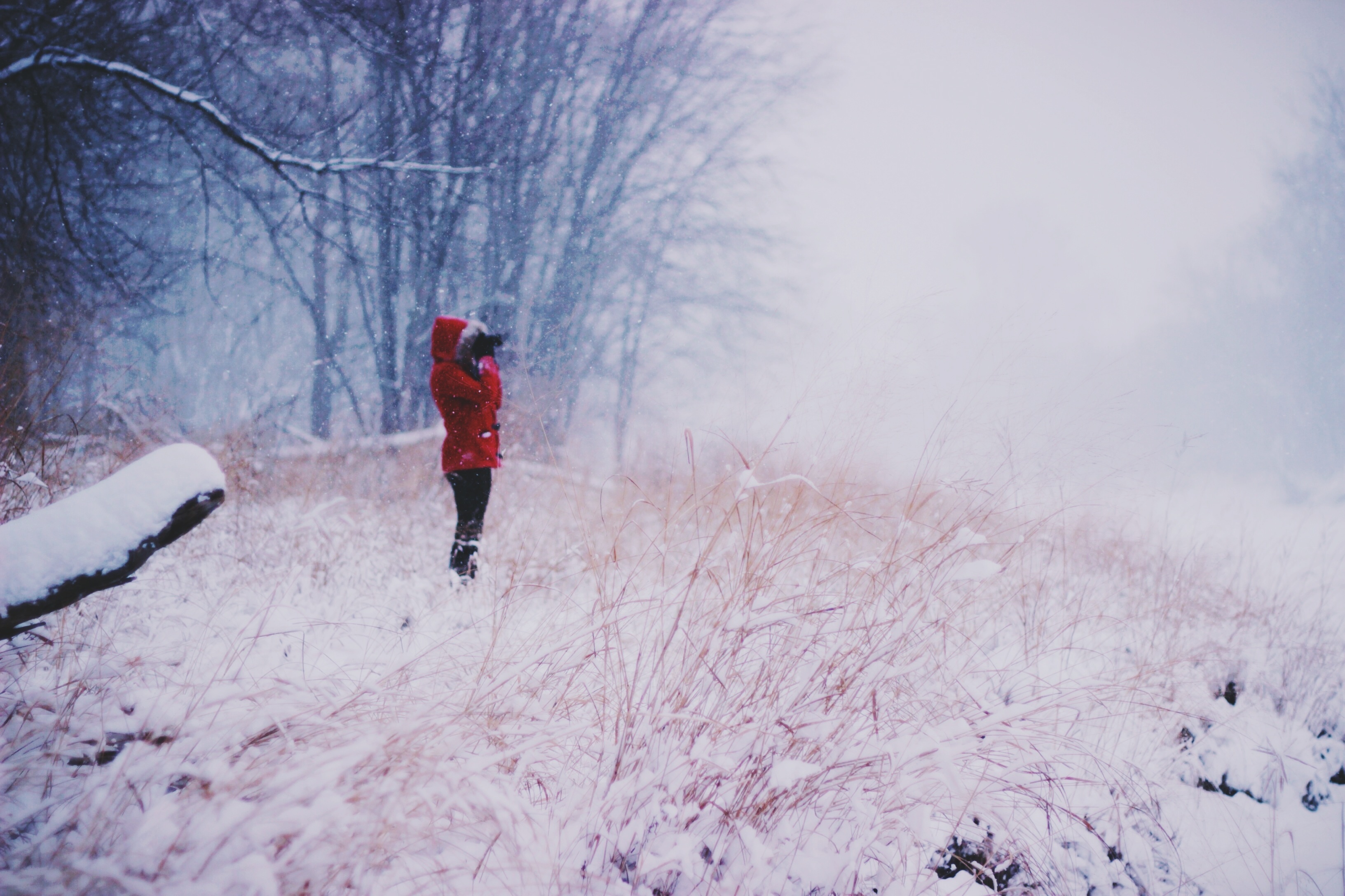 Photographer, Cold, Fog, Ice, Nature, HQ Photo