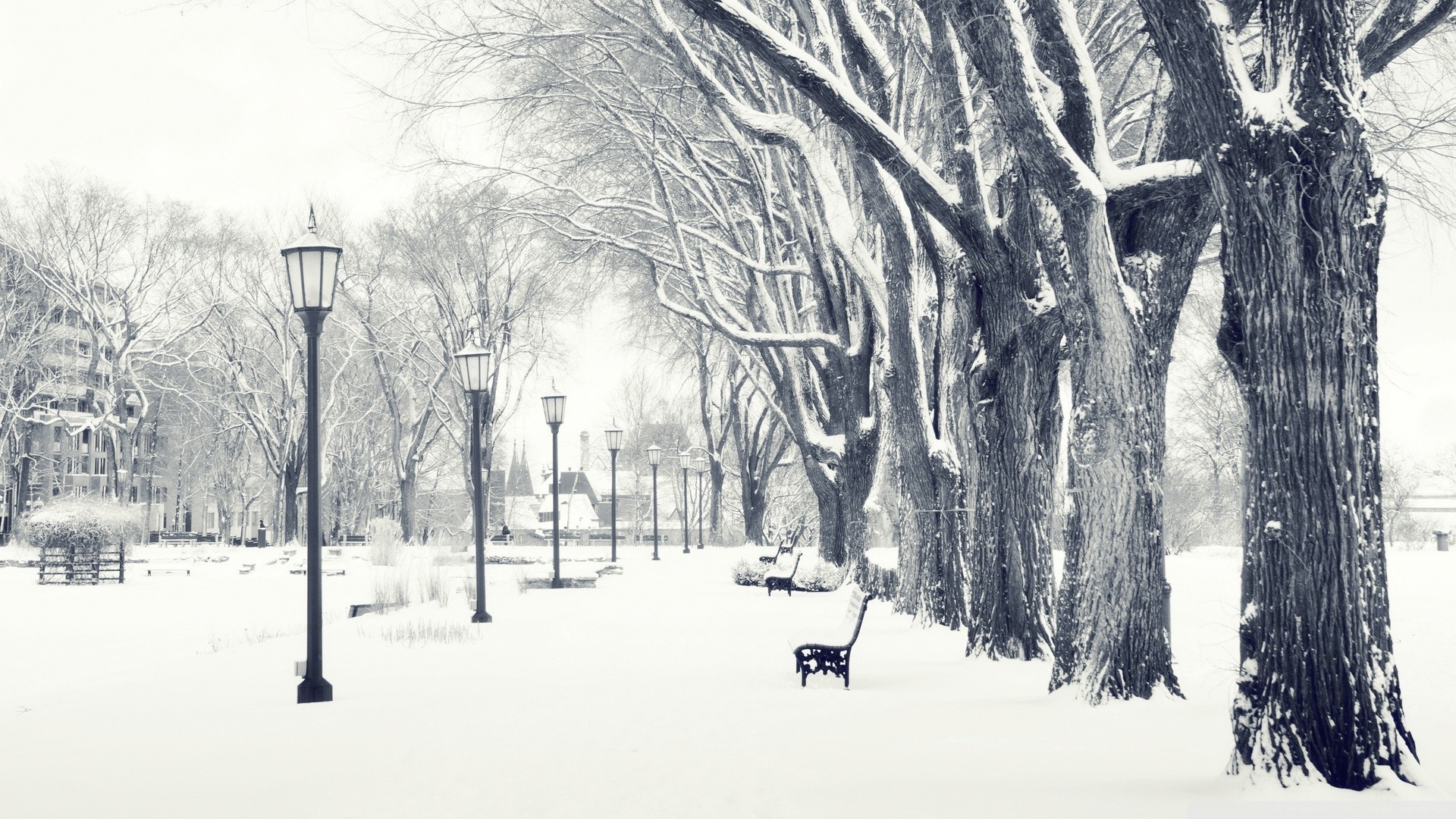 Winter Full HD Wallpaper and Background Image | 1920x1080 | ID:305983