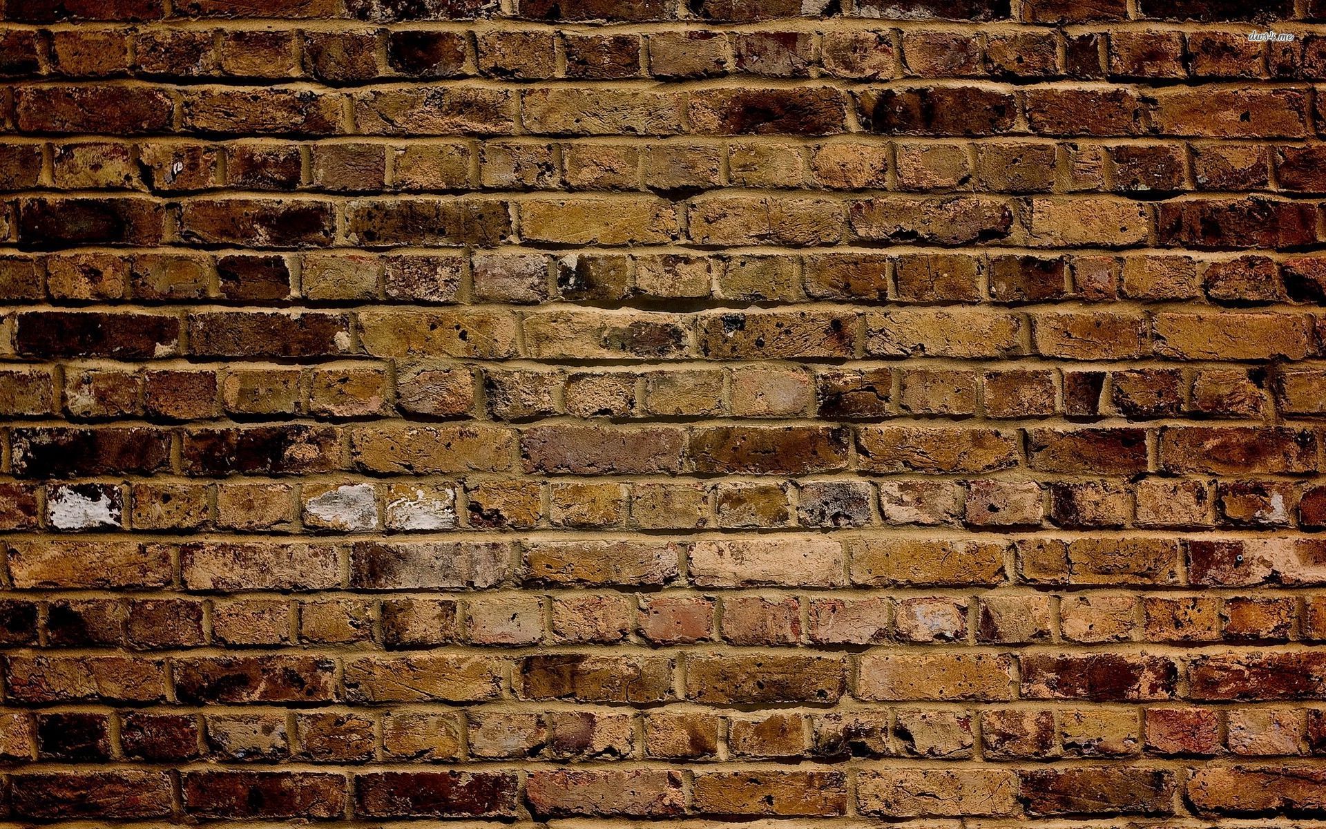 Photography of brickwall