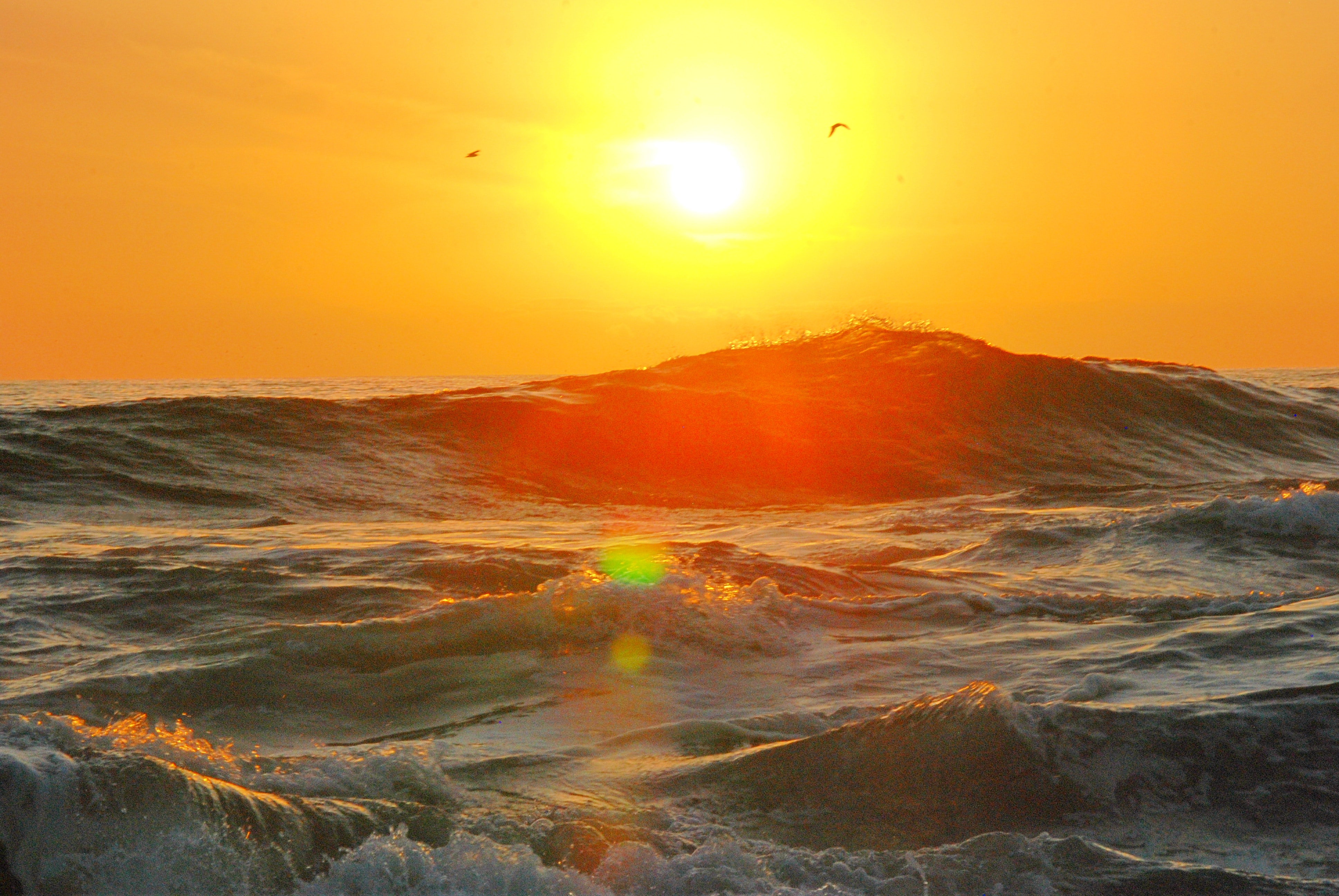 Free photo Photography of Ocean Wave during Golden Hour