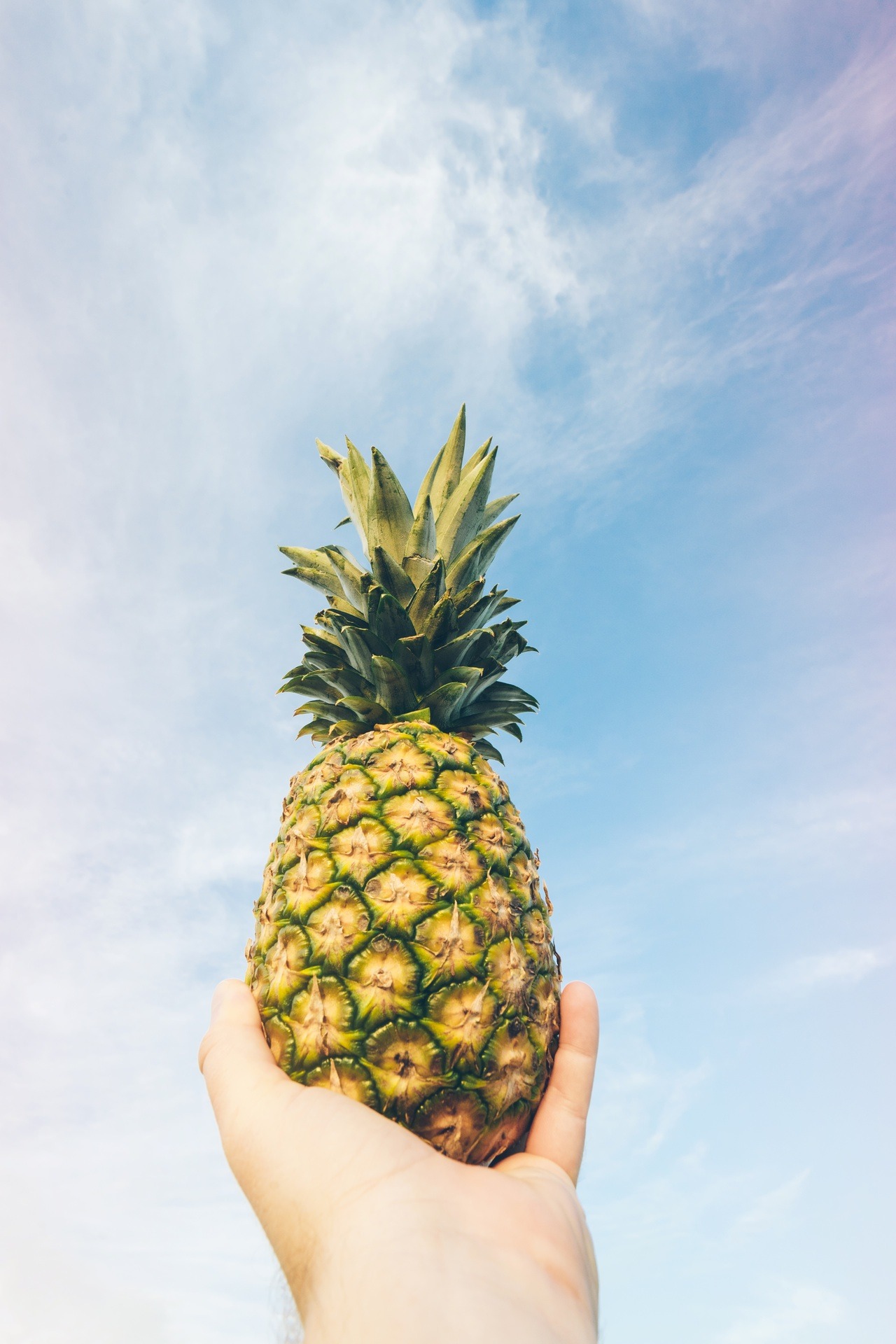 Pineapple Stock Photography We'll keep the... | Everything Pineapples