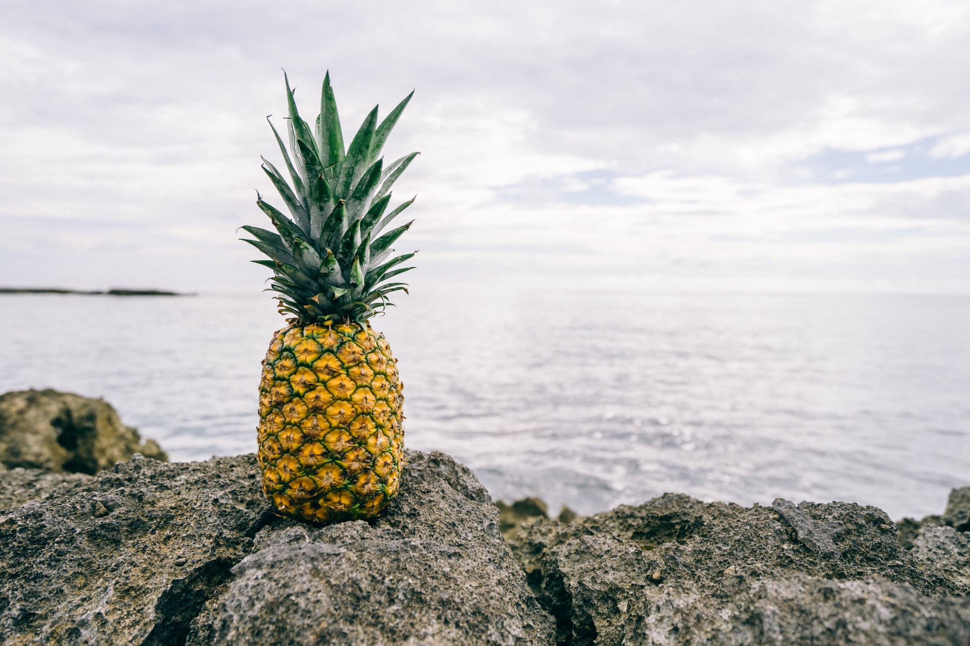 On Photographing Pineapples – Chasing Photography