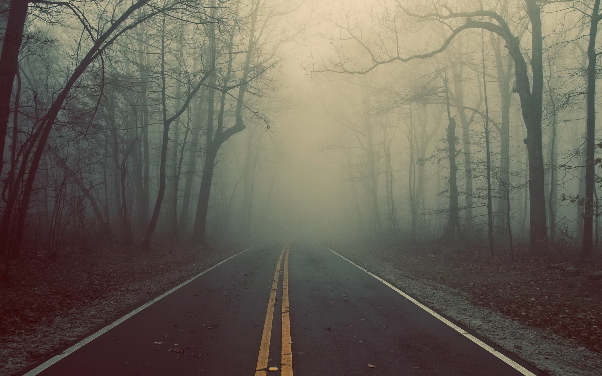 Foggy Road Landscape - Photography Wallpapers #464804 on Wookmark