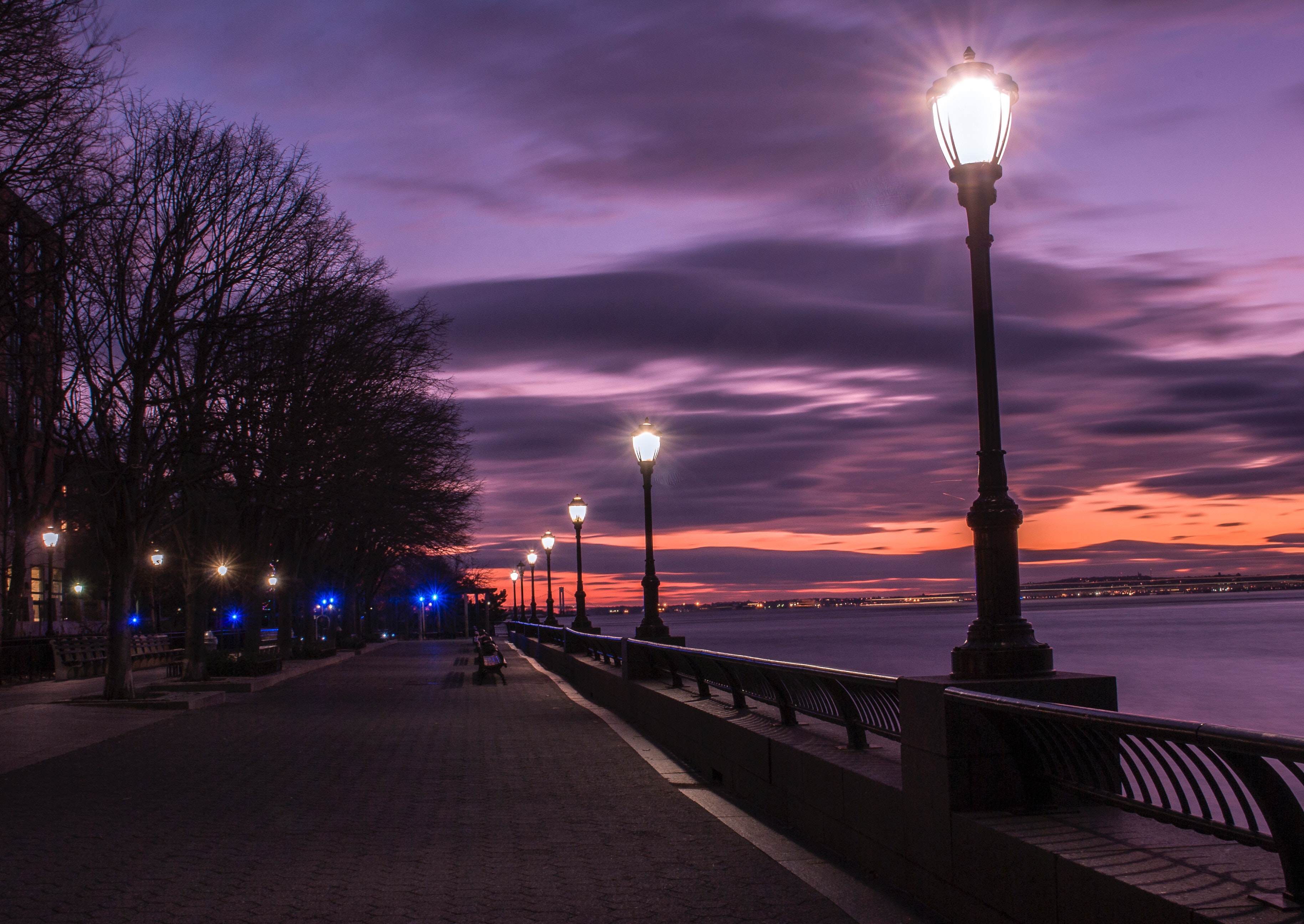 Photography of Turned on Street Lamps Beside Bay during Night Time, Architecture, Outdoors, Urban, Trees, HQ Photo