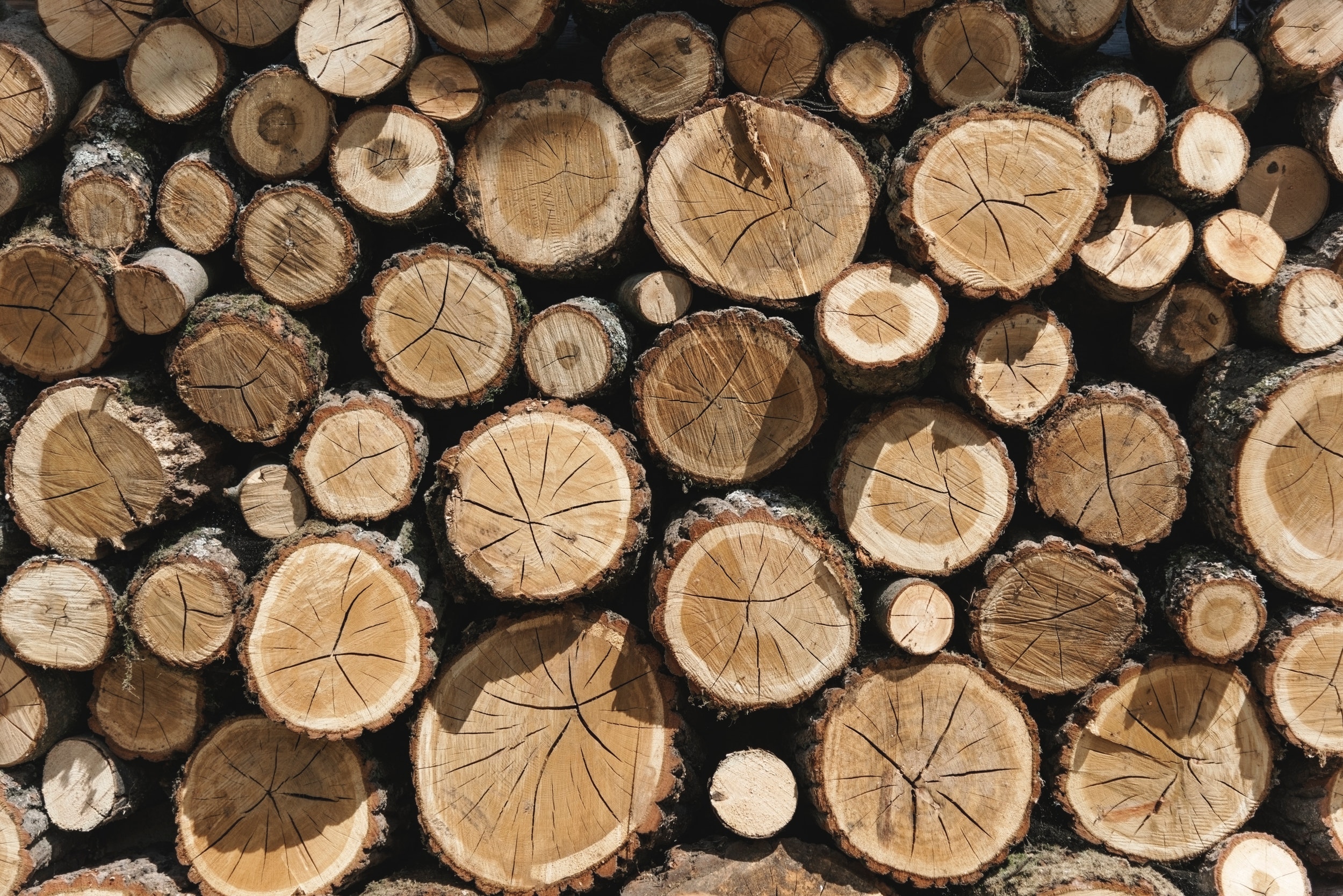 Photography of Woodpile, Chopped, Wooden logs, Wooden, Wood, HQ Photo
