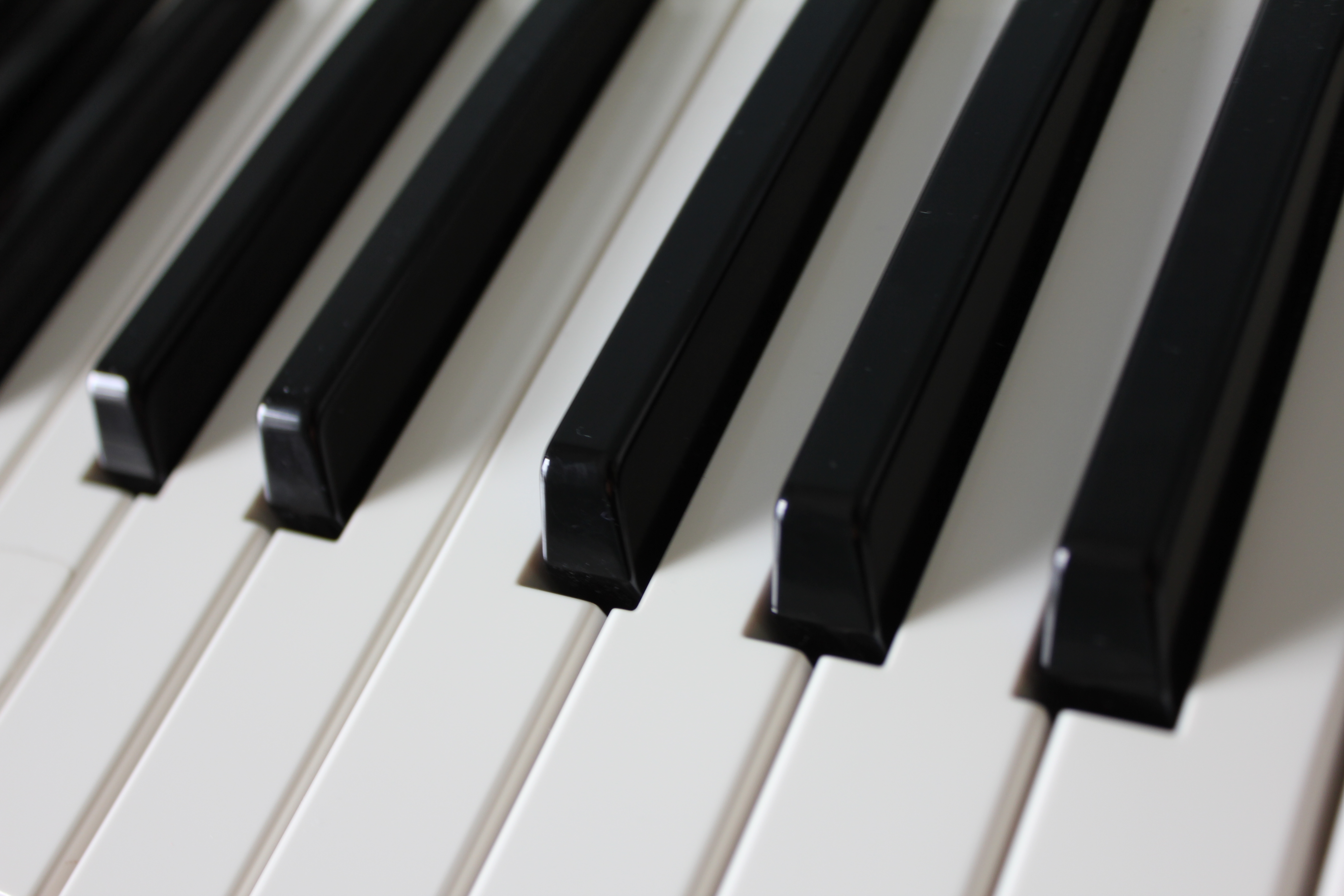 Piano keys photo
