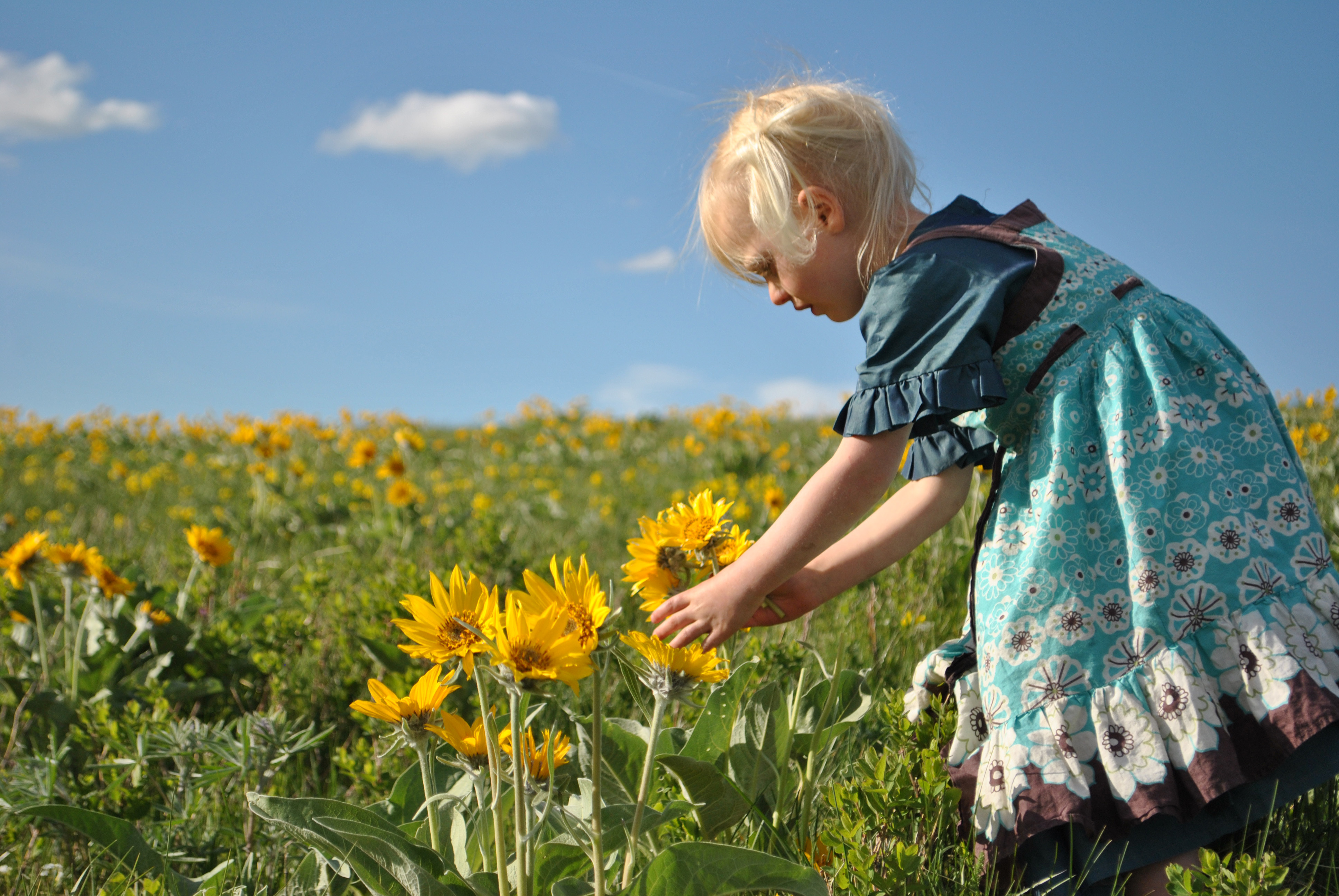 girls picking flowers – Aunty Bears Blog