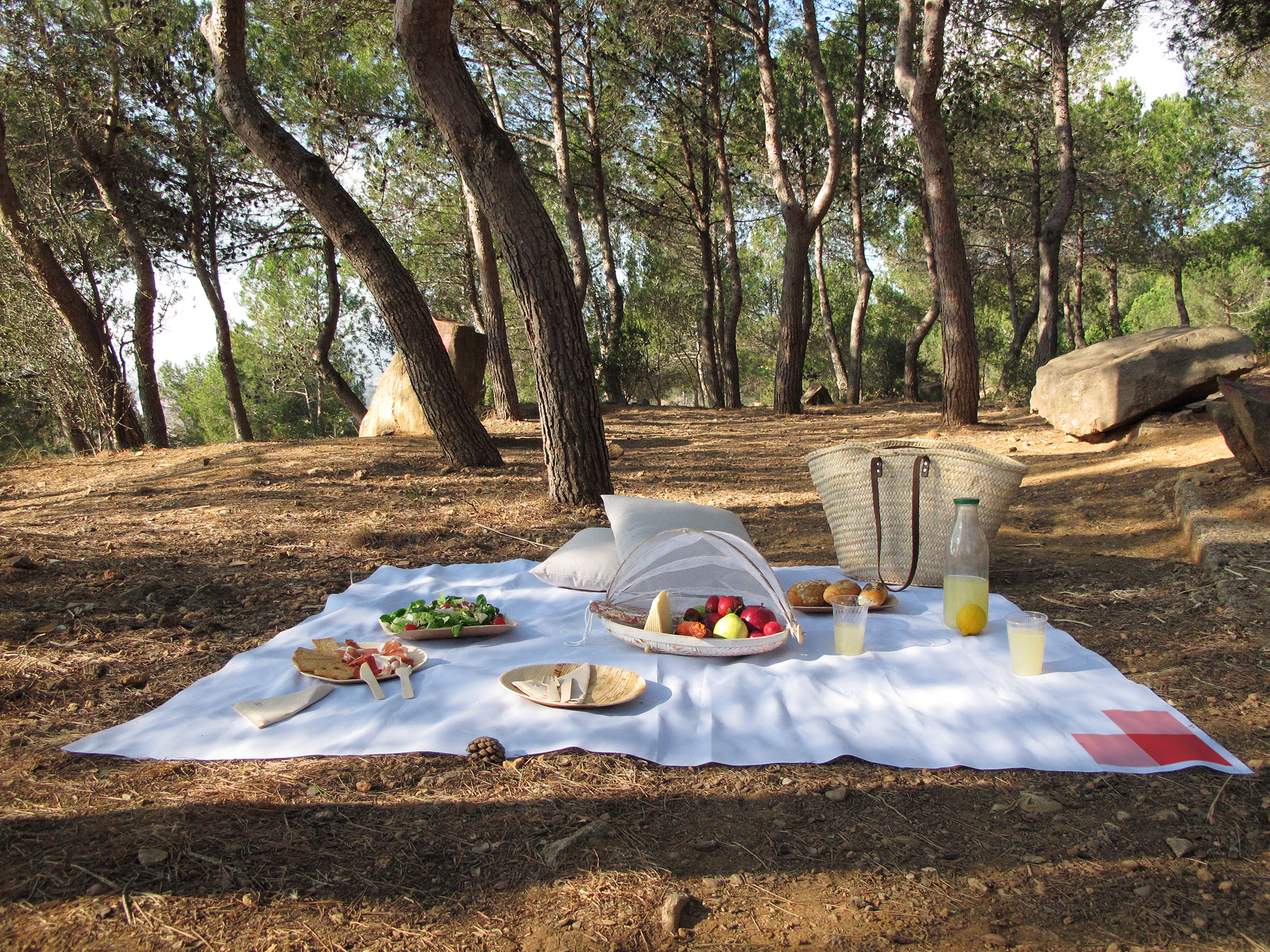 Picnic Barcelona | We deliver amazing picnics in the best spots!