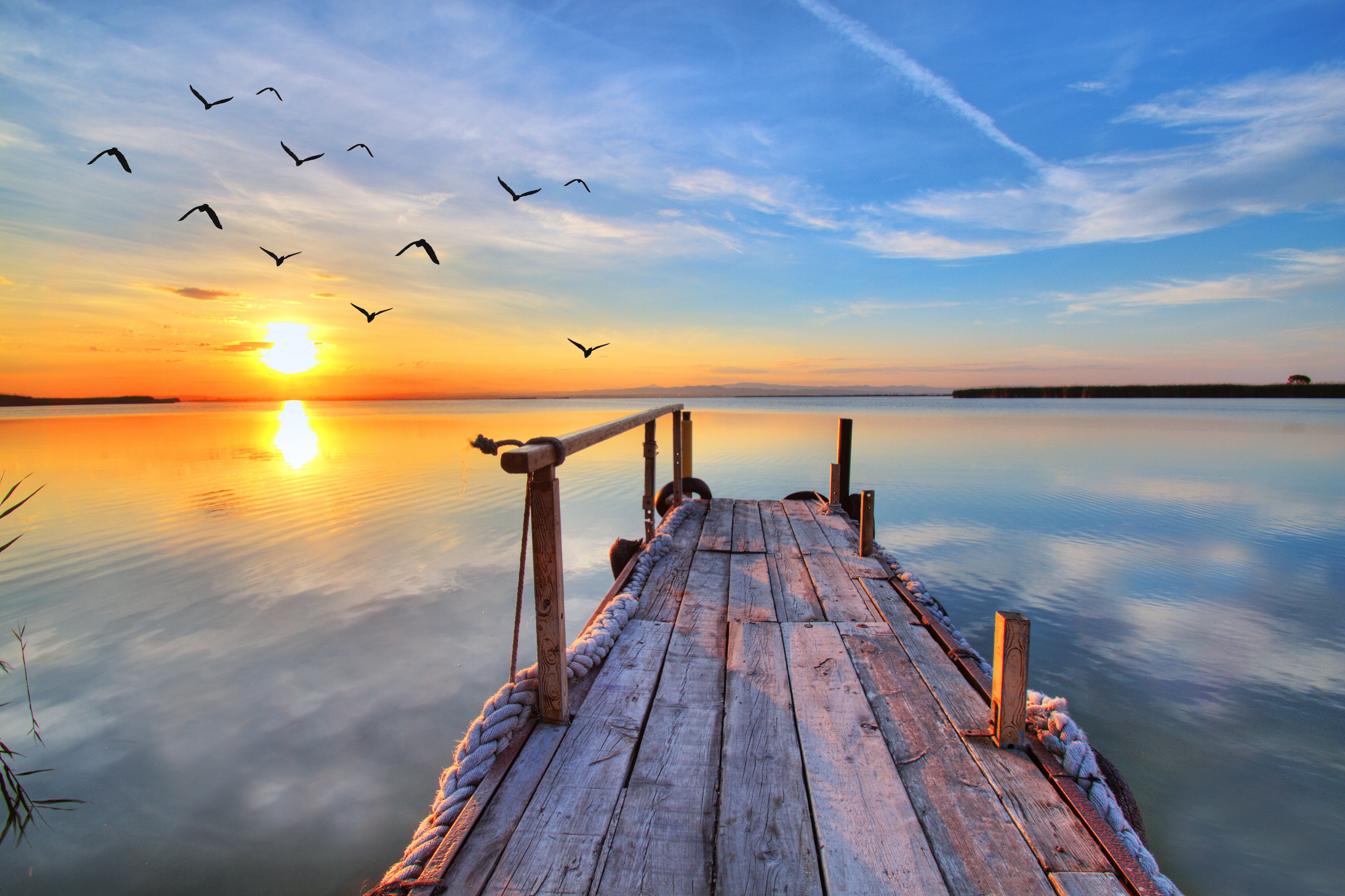 pier, seagull, lake, sunset :: Wallpapers