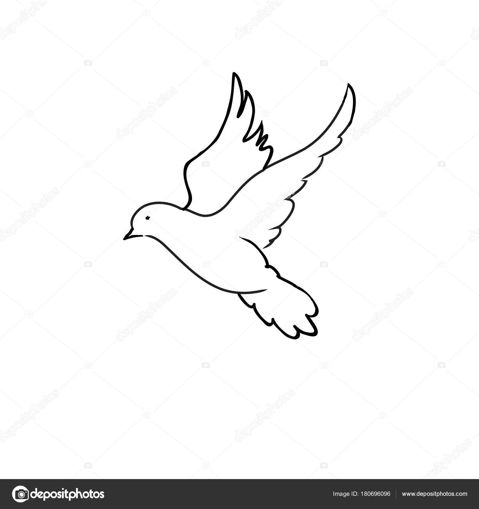 Pigeon Dove Black Line Art Drawing White Background — Stock Photo ...