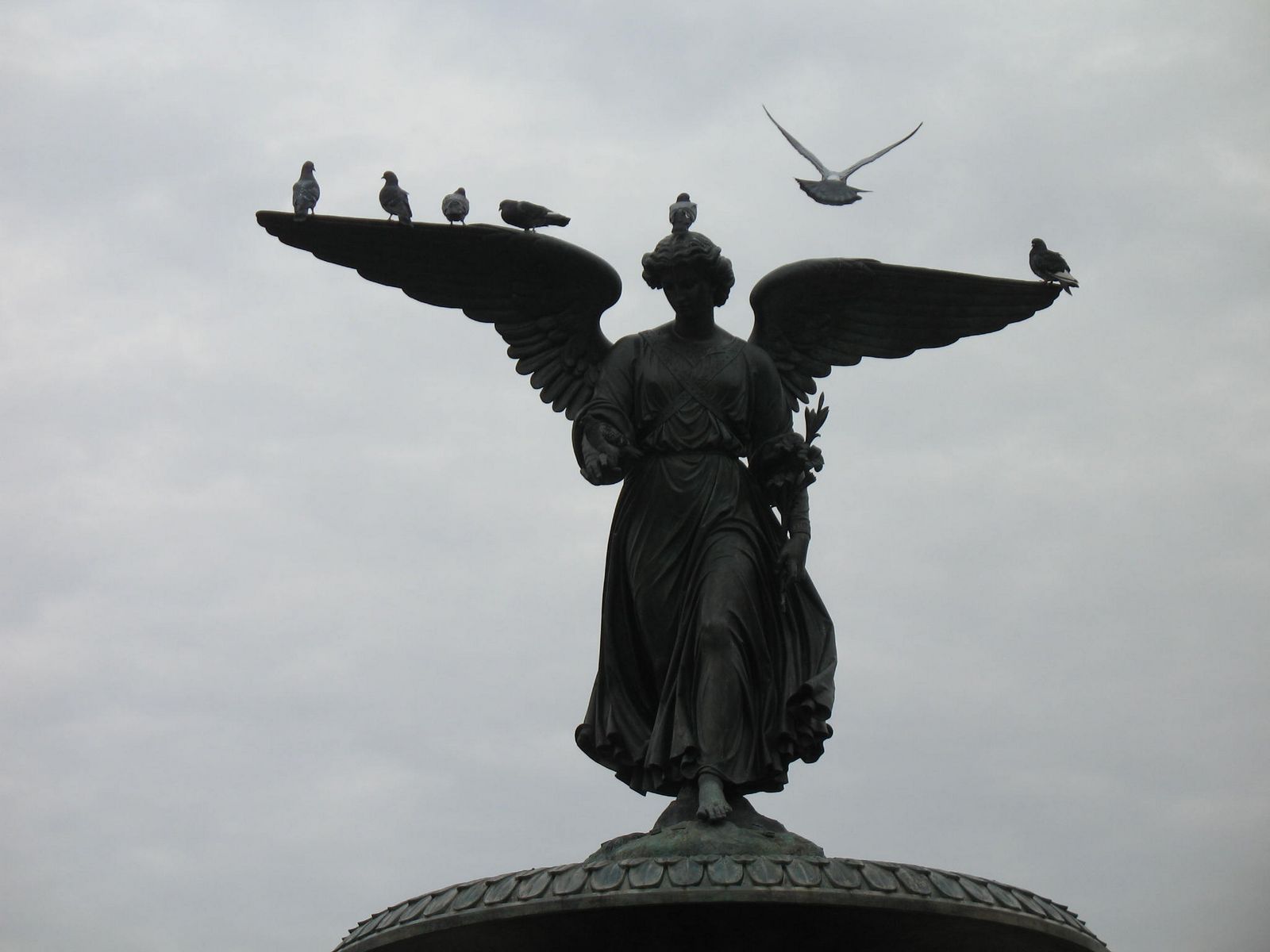 Am I a Pigeon? Statue or Both? | Diary of a Facebook Addict
