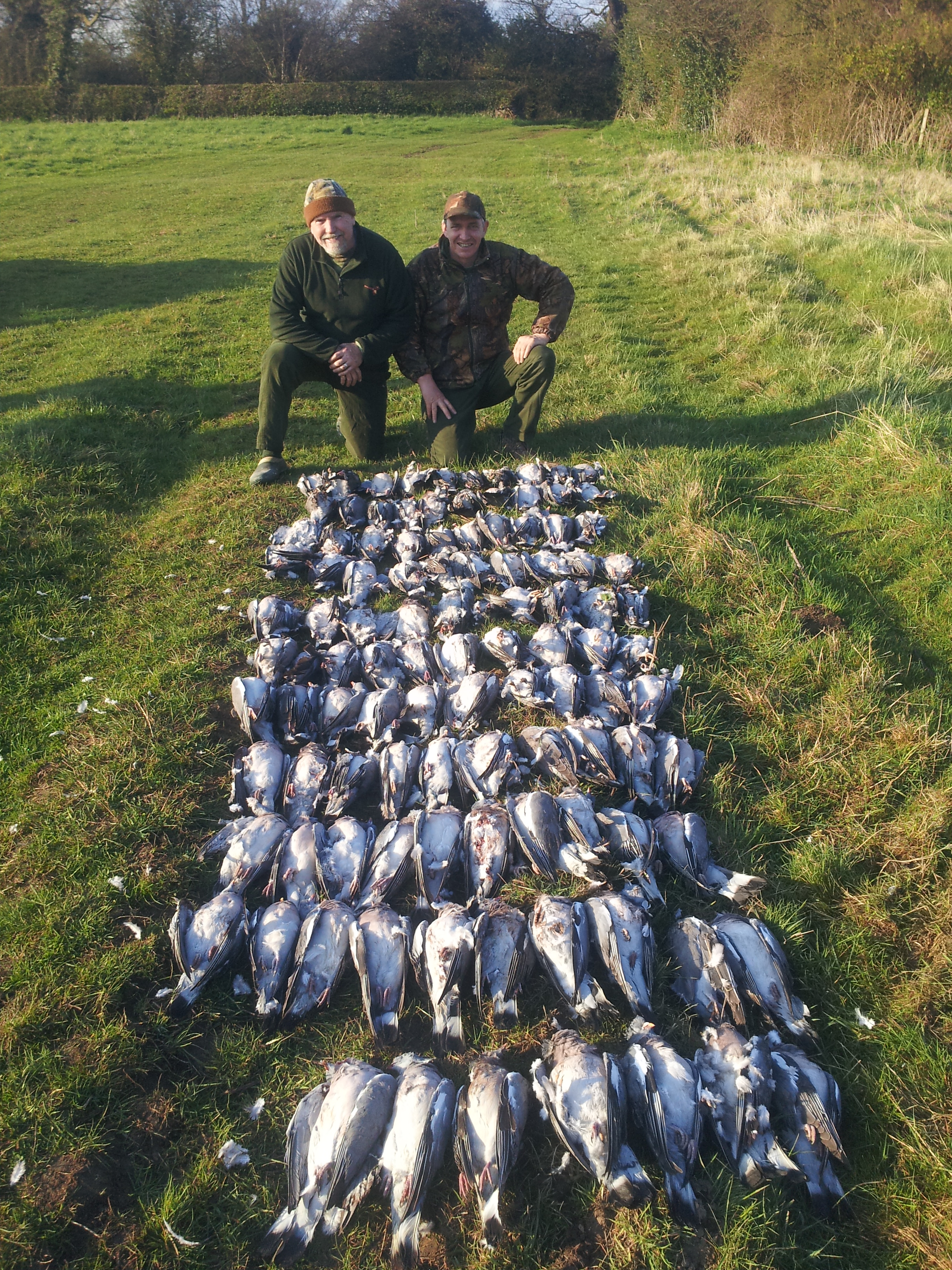 April | 2013 | Pigeon Shooting Leicestershire UK