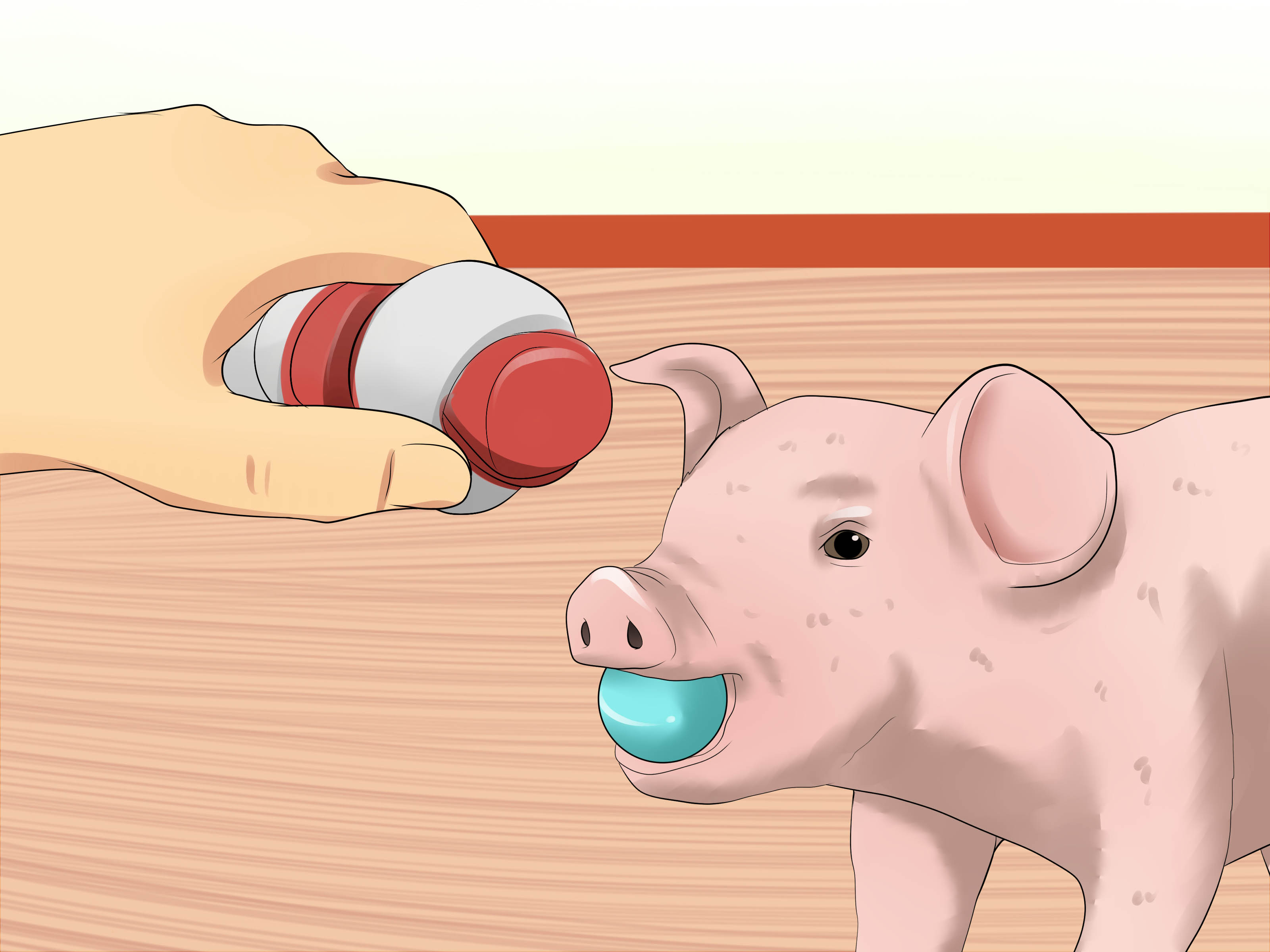 How to Play with a Piglet: 15 Steps (with Pictures) - wikiHow