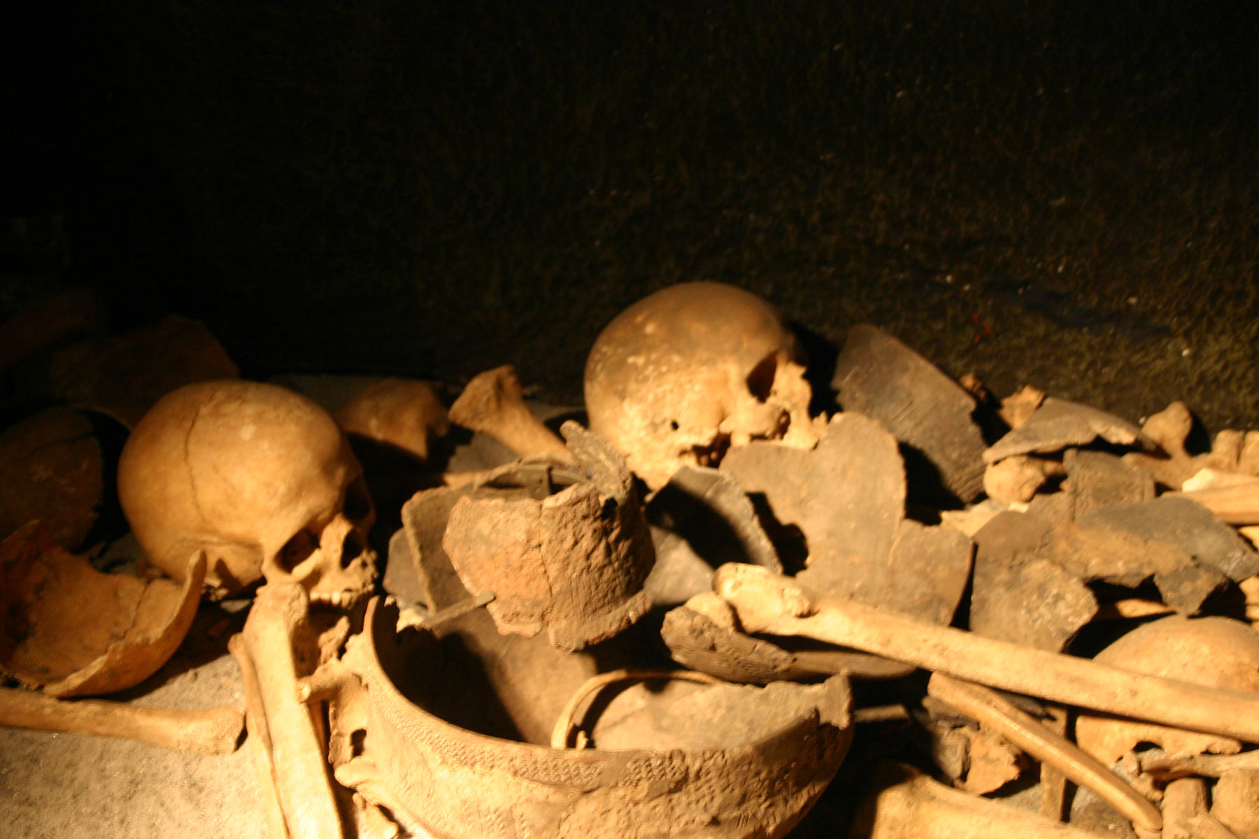 Pile of bones and skulls photo