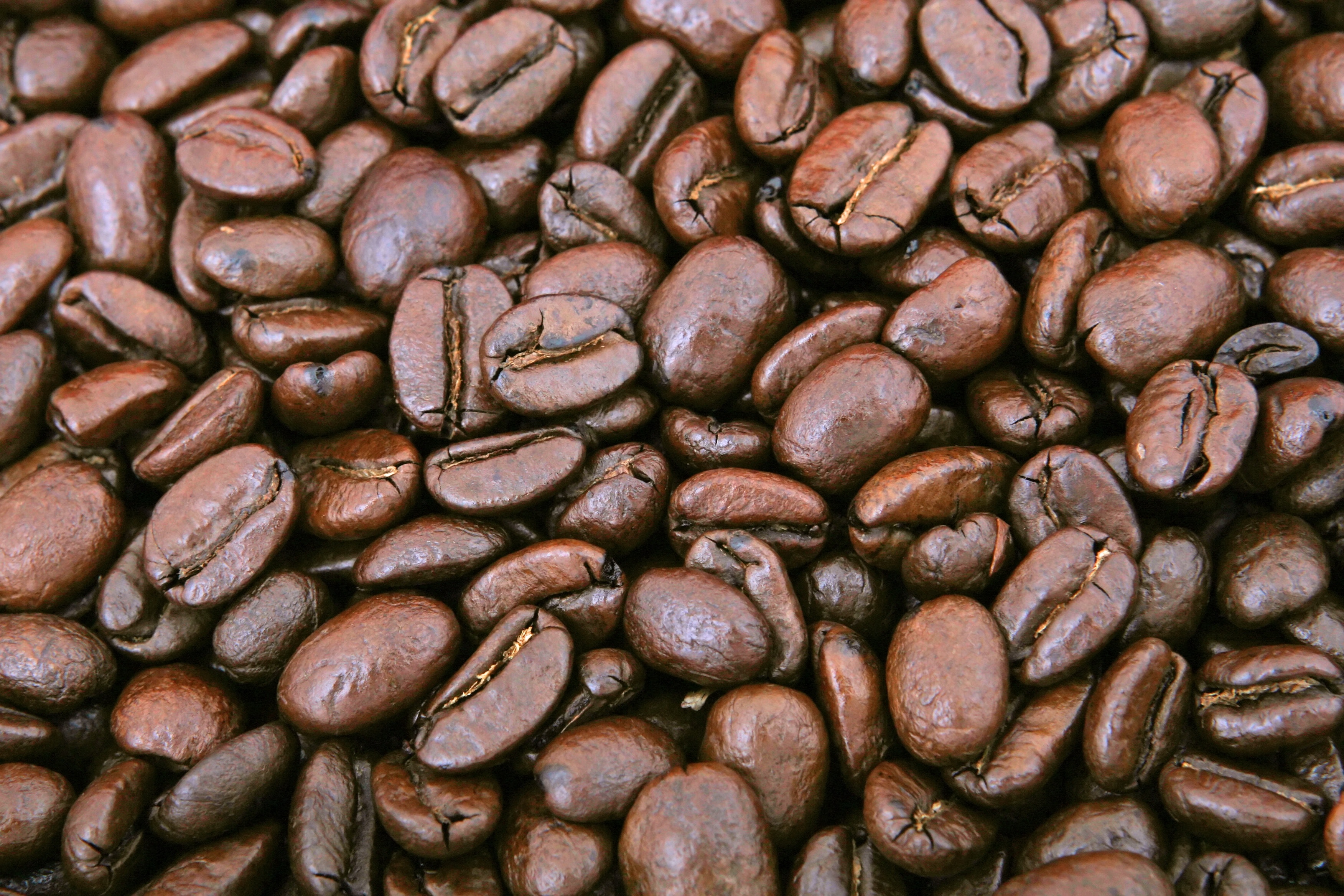 Pile of coffee bean photo