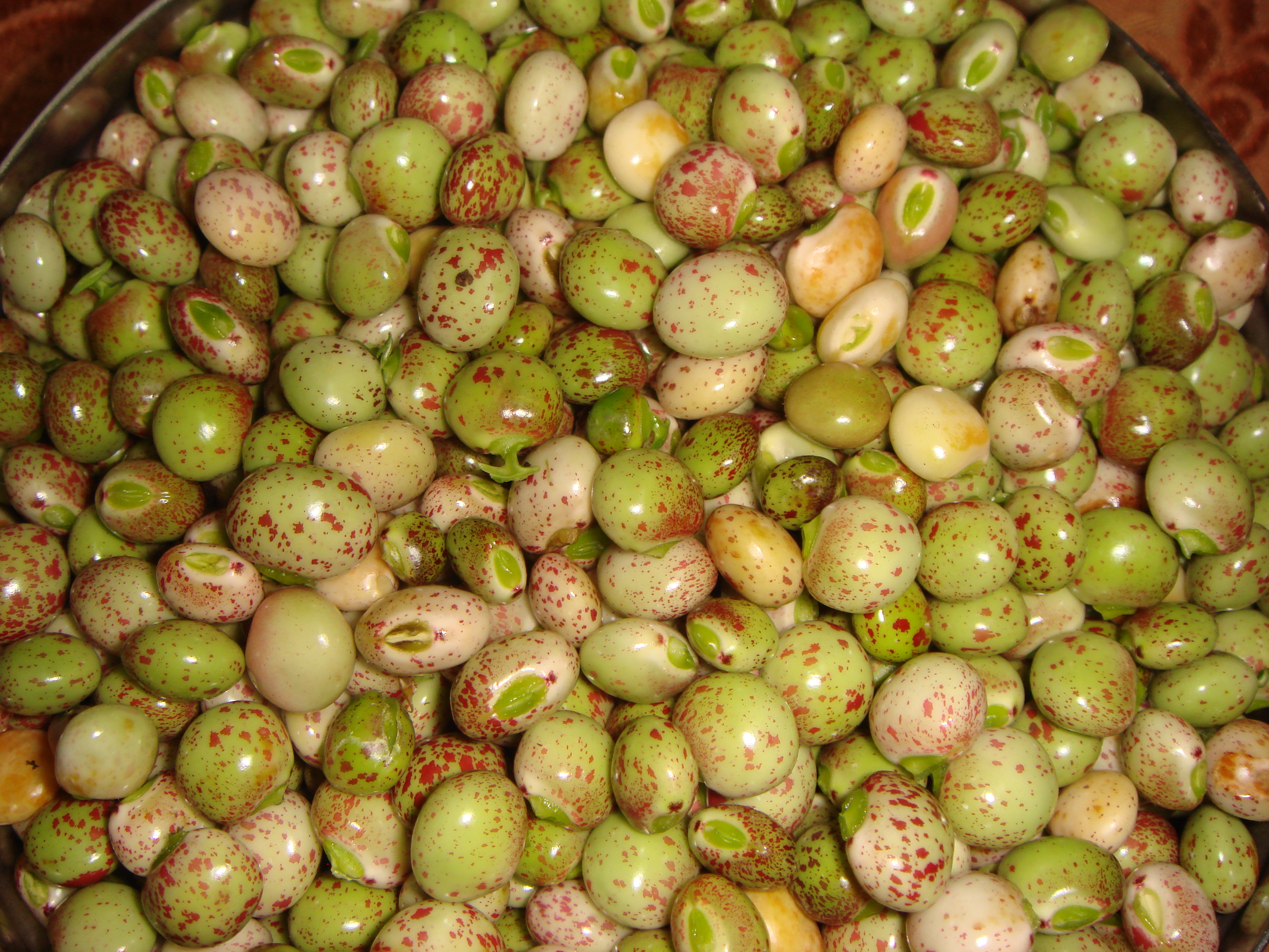 Pile of green peas photo