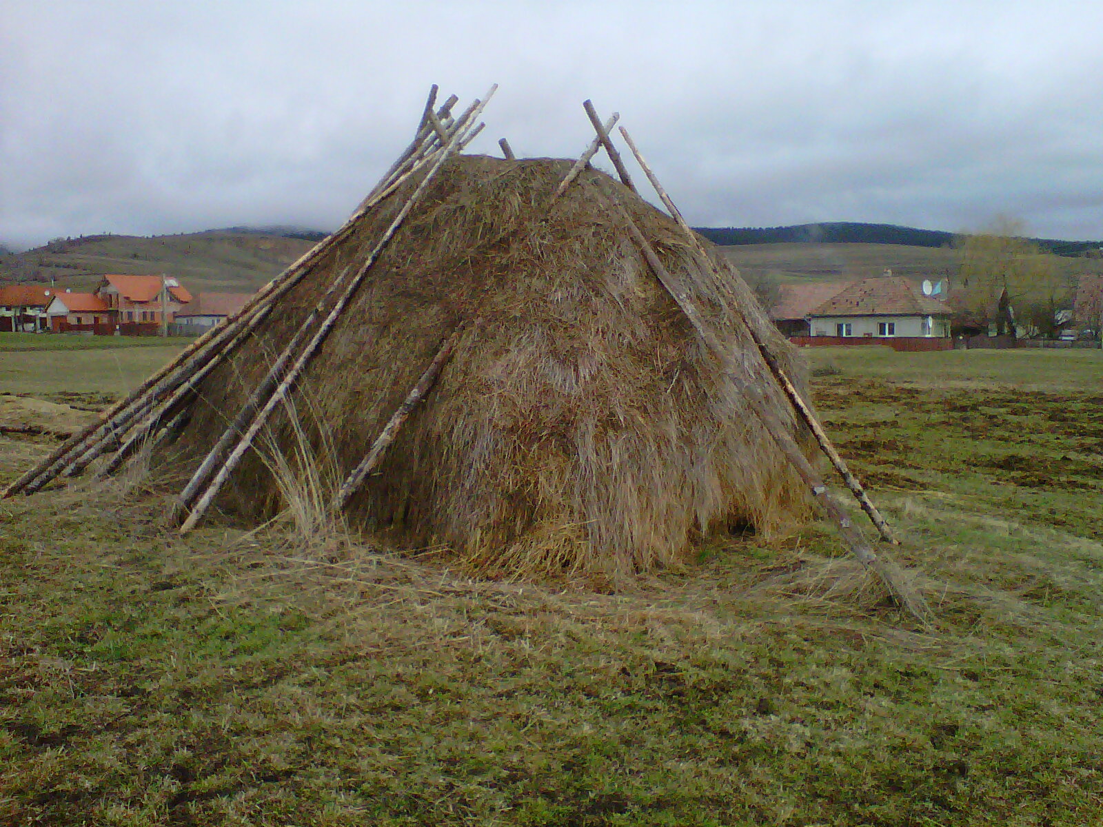 Traditional Farming in Transylvania | Reclaiming the Miracle of Food ...
