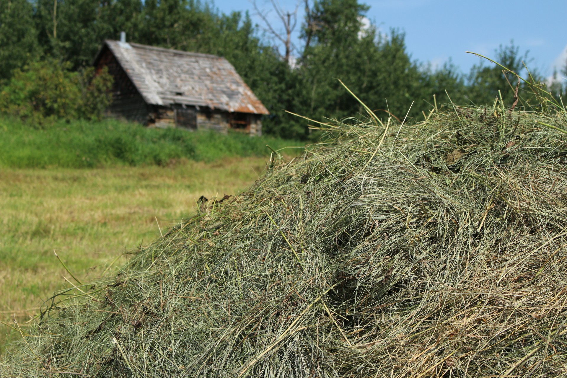 Pile Of Hay Farm Free Stock Photo - Public Domain Pictures
