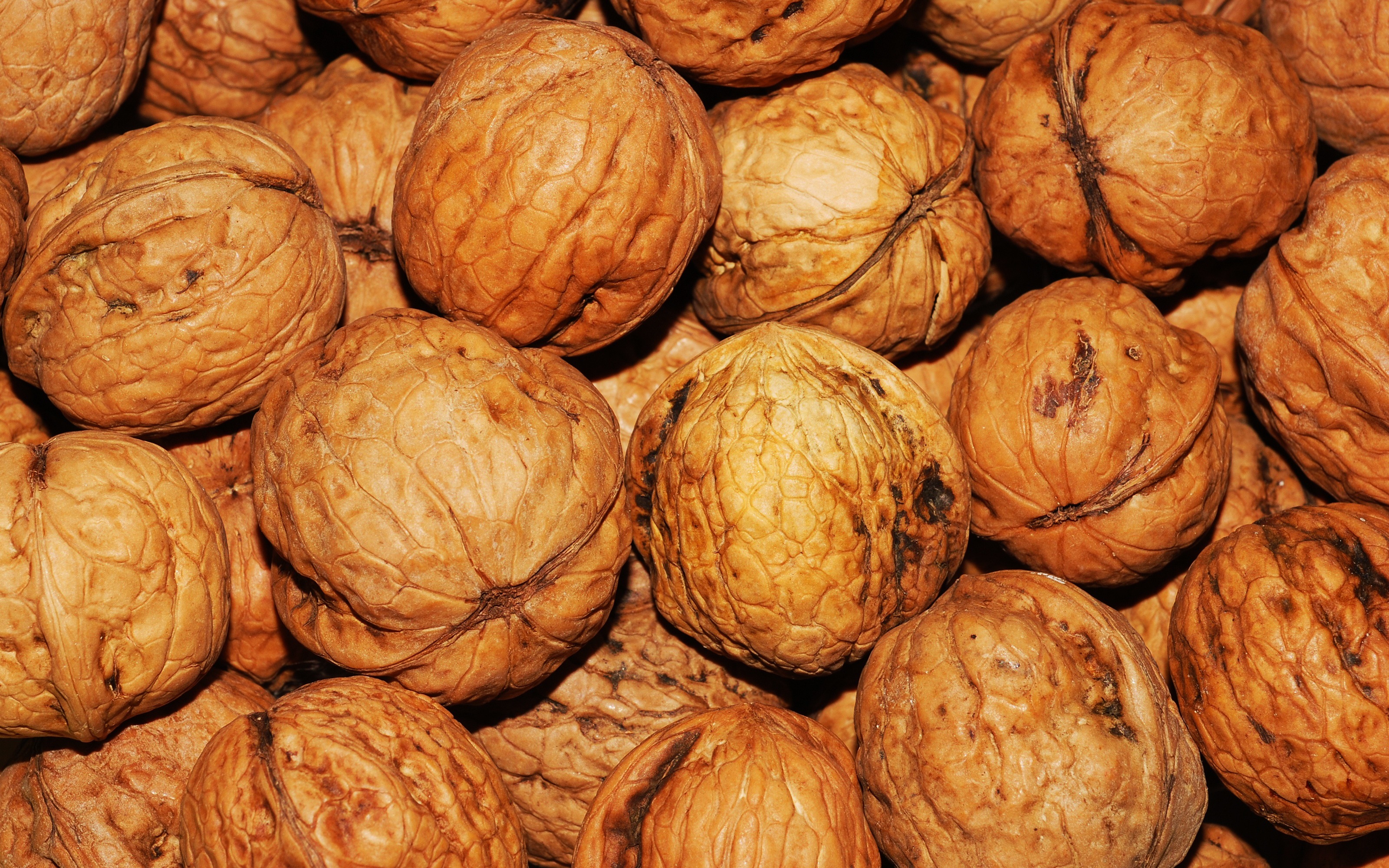 File:Pile of walnuts.jpg - Wikimedia Commons