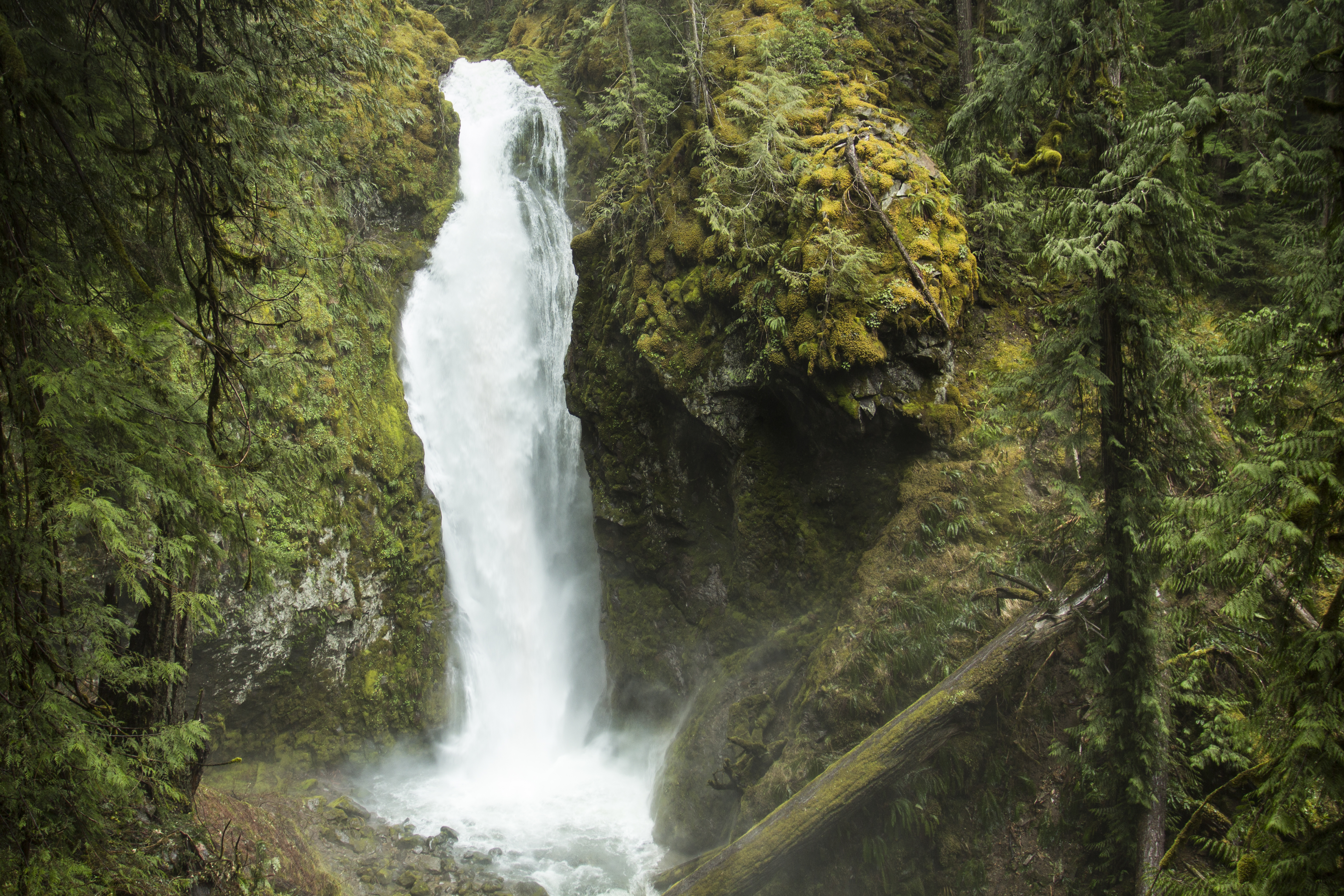 Pinard falls waterfall, oregon photo